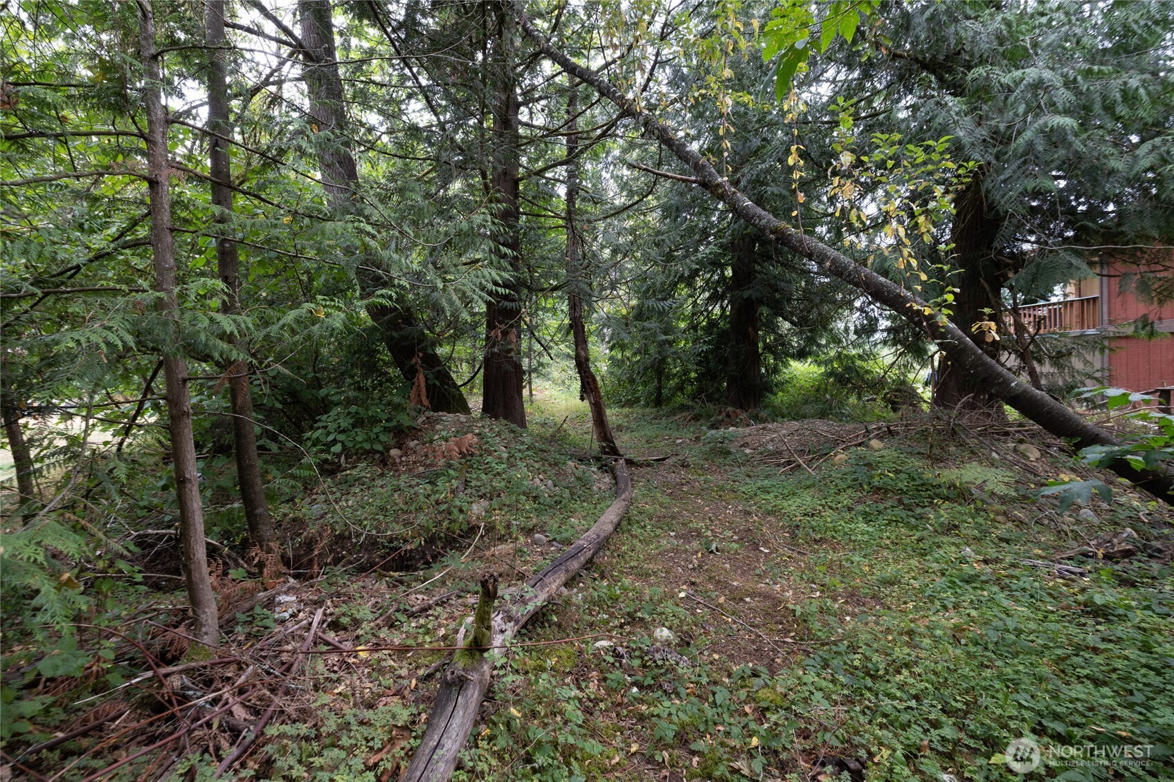 0 Se Se 247th Place, Covington, Wa Place Property Photo 11