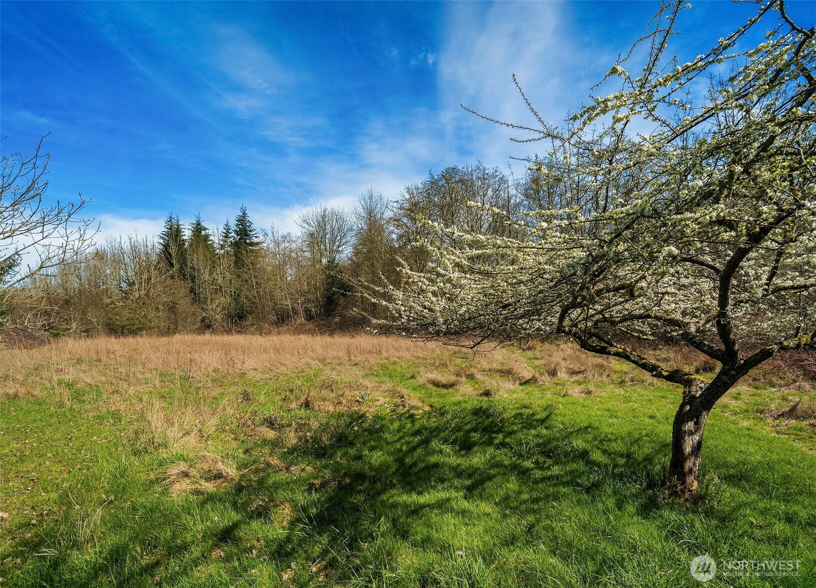 23420 77th Avenue Property Photo