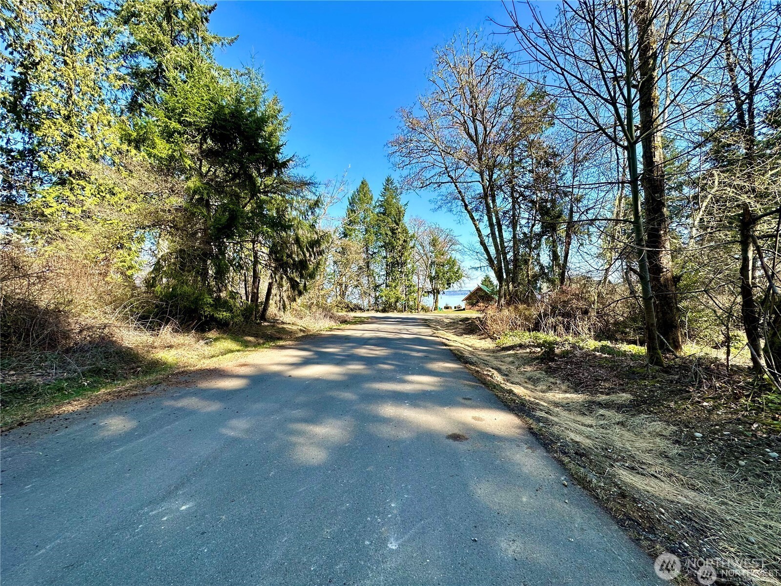 10412 107th Street Ct Property Photo 6
