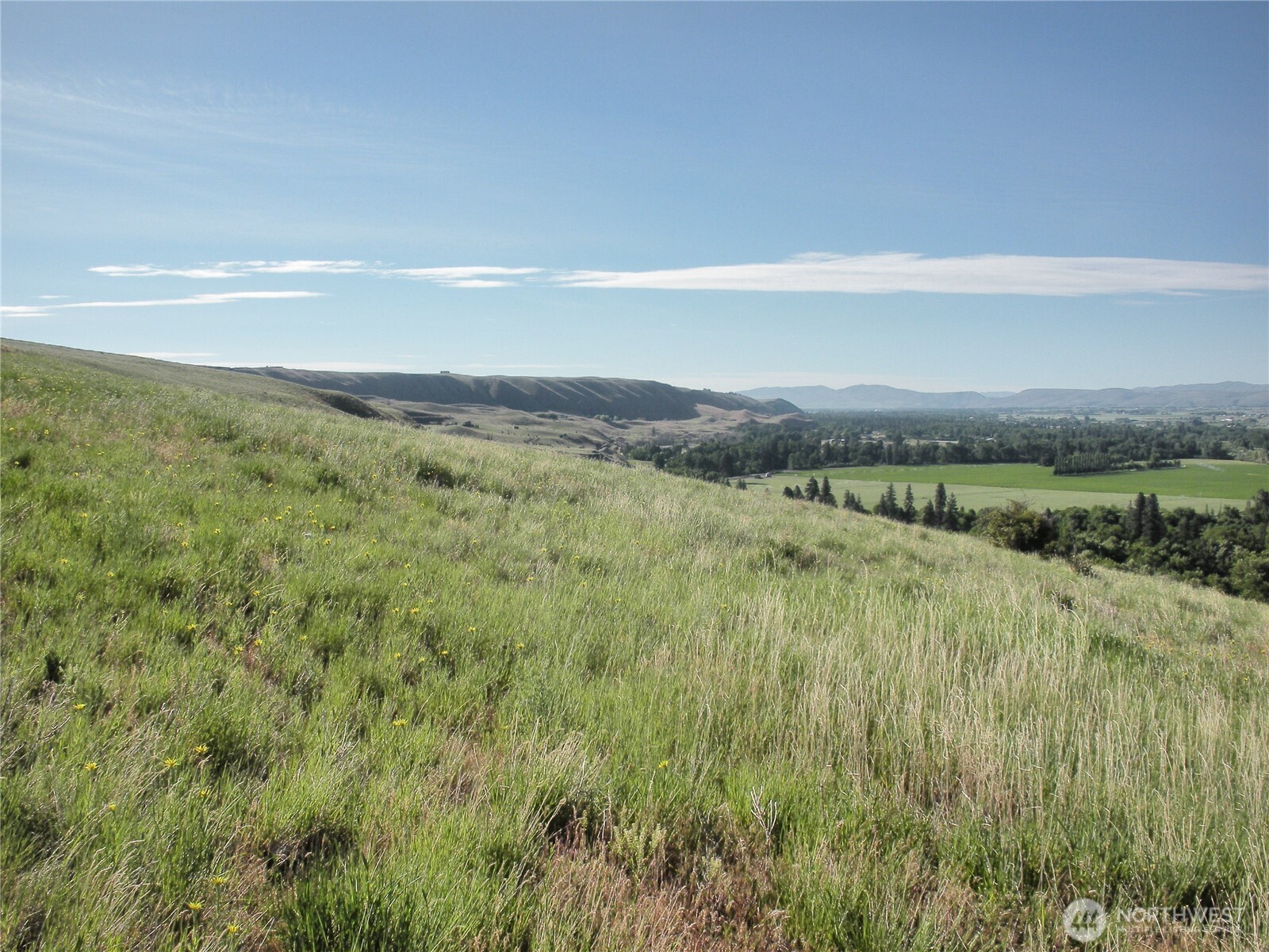 0 Lot D Horse Hill Road Property Photo 16