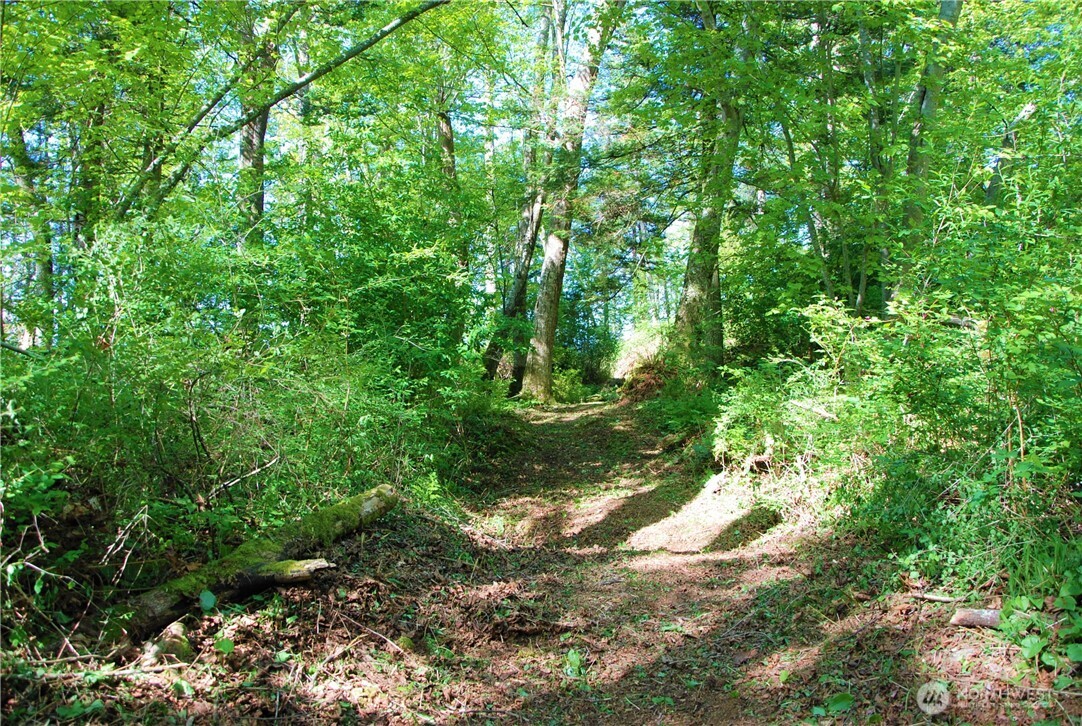 12 Koehn Road Property Photo 13