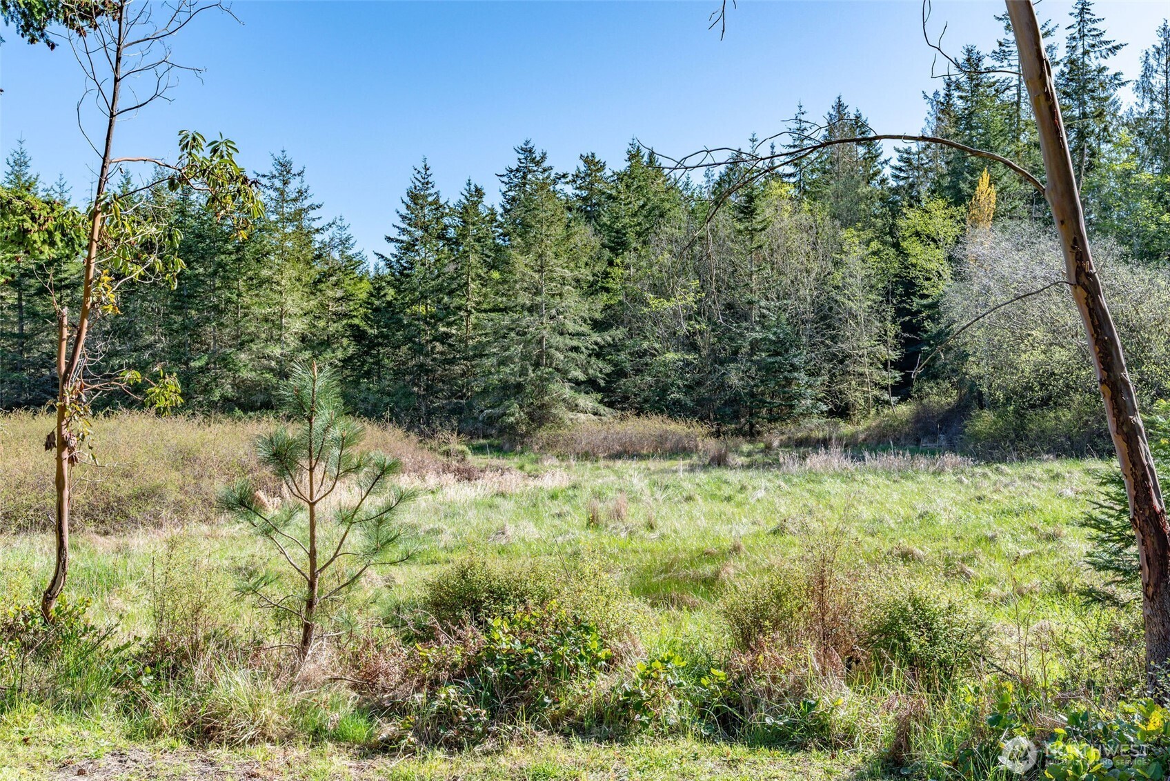 62 Stillpoint Lane Property Photo 39