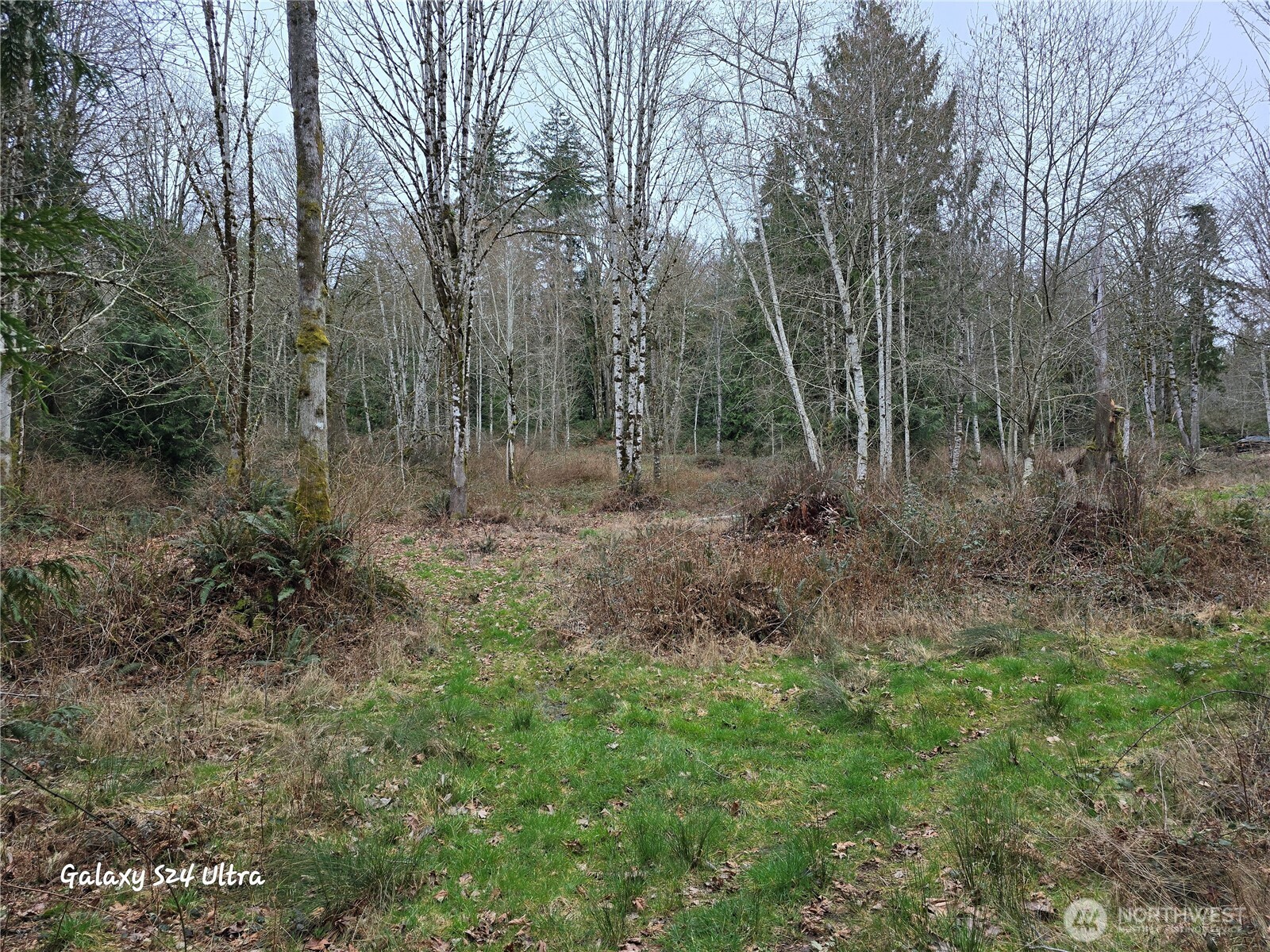 0 Morning Dove Lane Property Photo