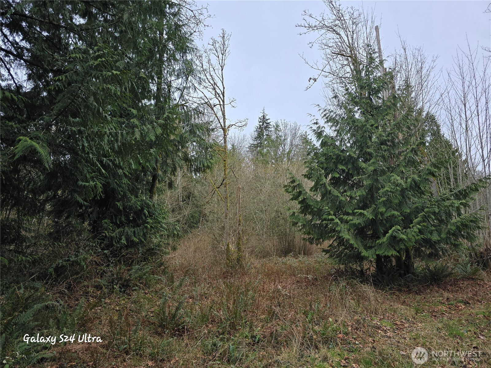0 Morning Dove Lane Property Photo 3