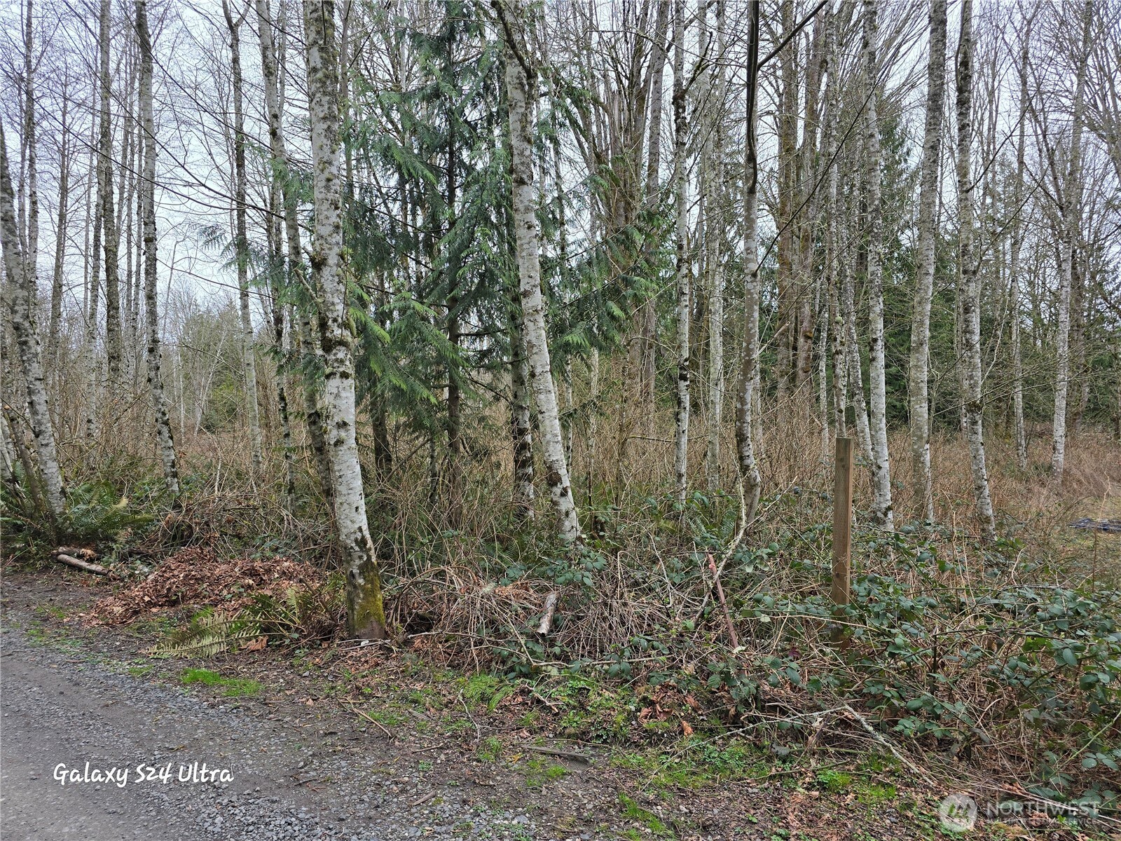 0 Morning Dove Lane Property Photo 5