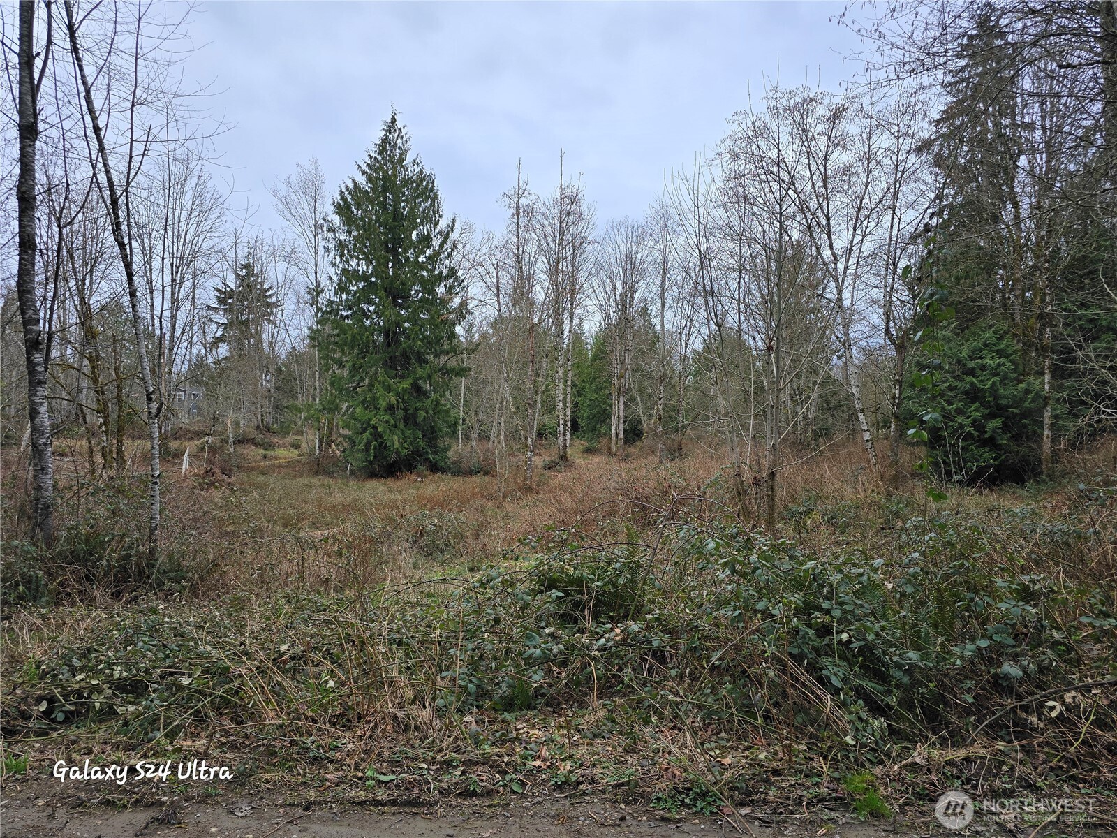 0 Morning Dove Lane Property Photo 6