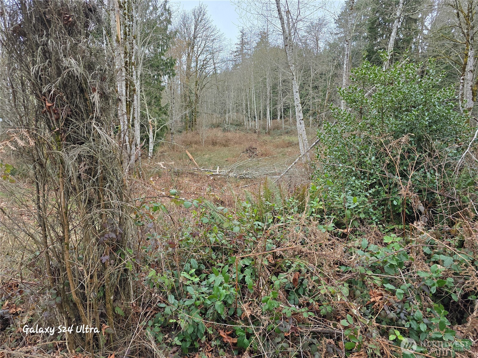 0 Morning Dove Lane Property Photo 7