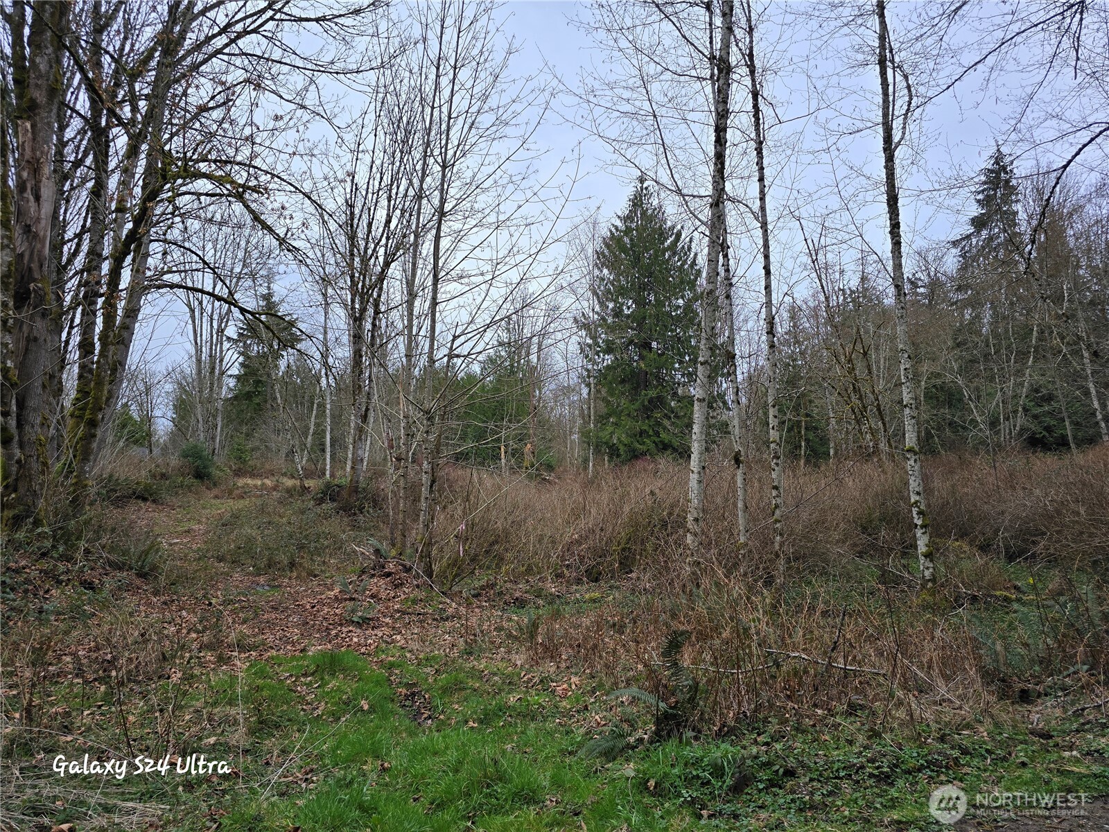 0 Morning Dove Lane Property Photo 9