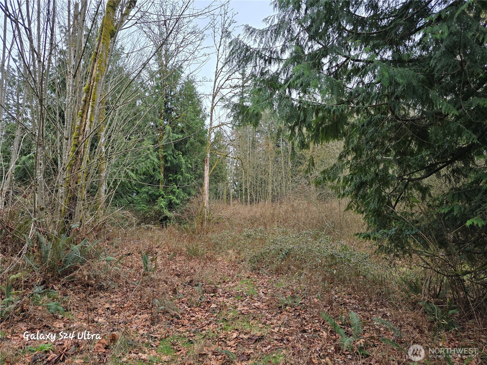 0 Morning Dove Lane Property Photo 10