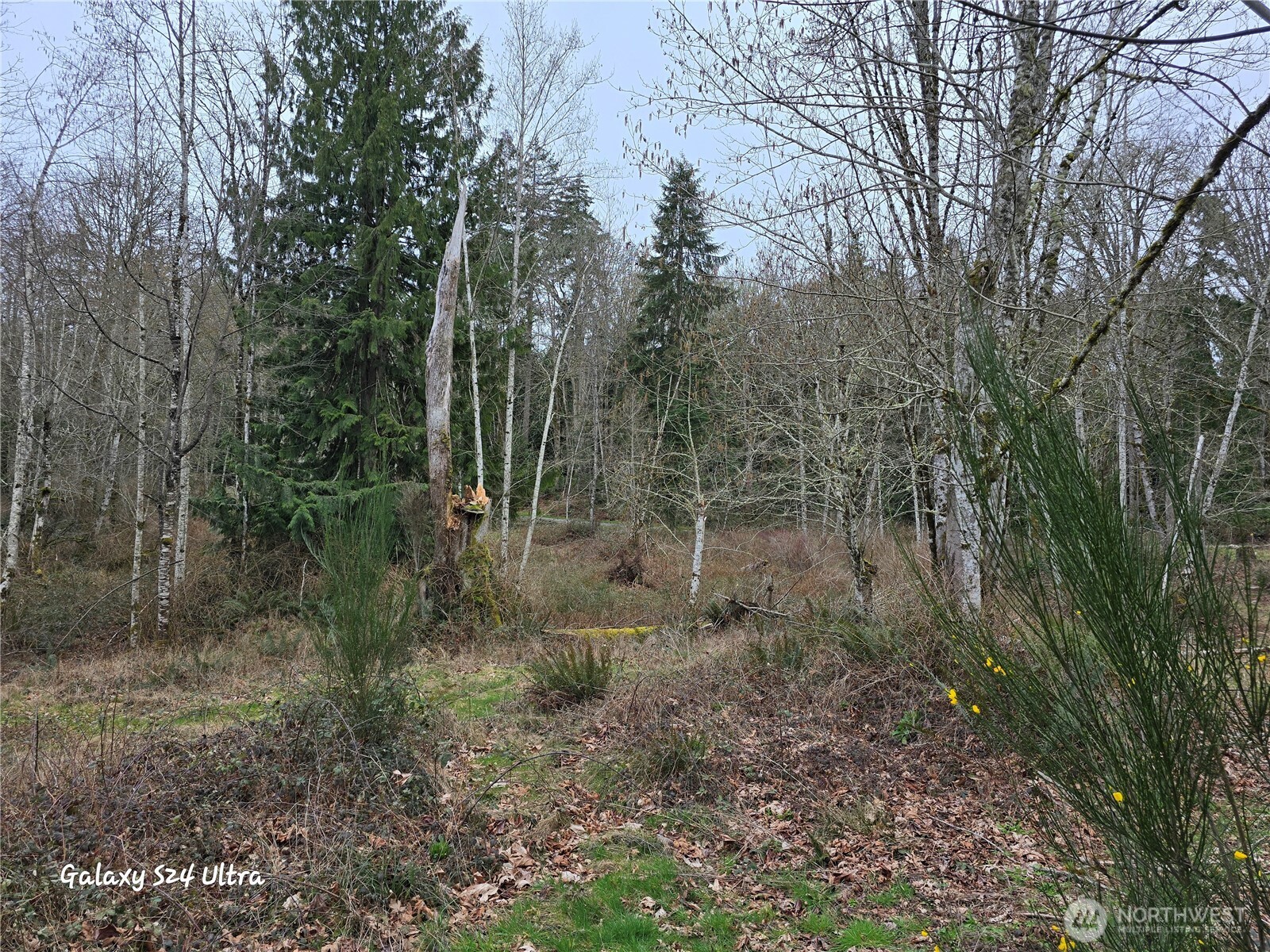 0 Morning Dove Lane Property Photo 11