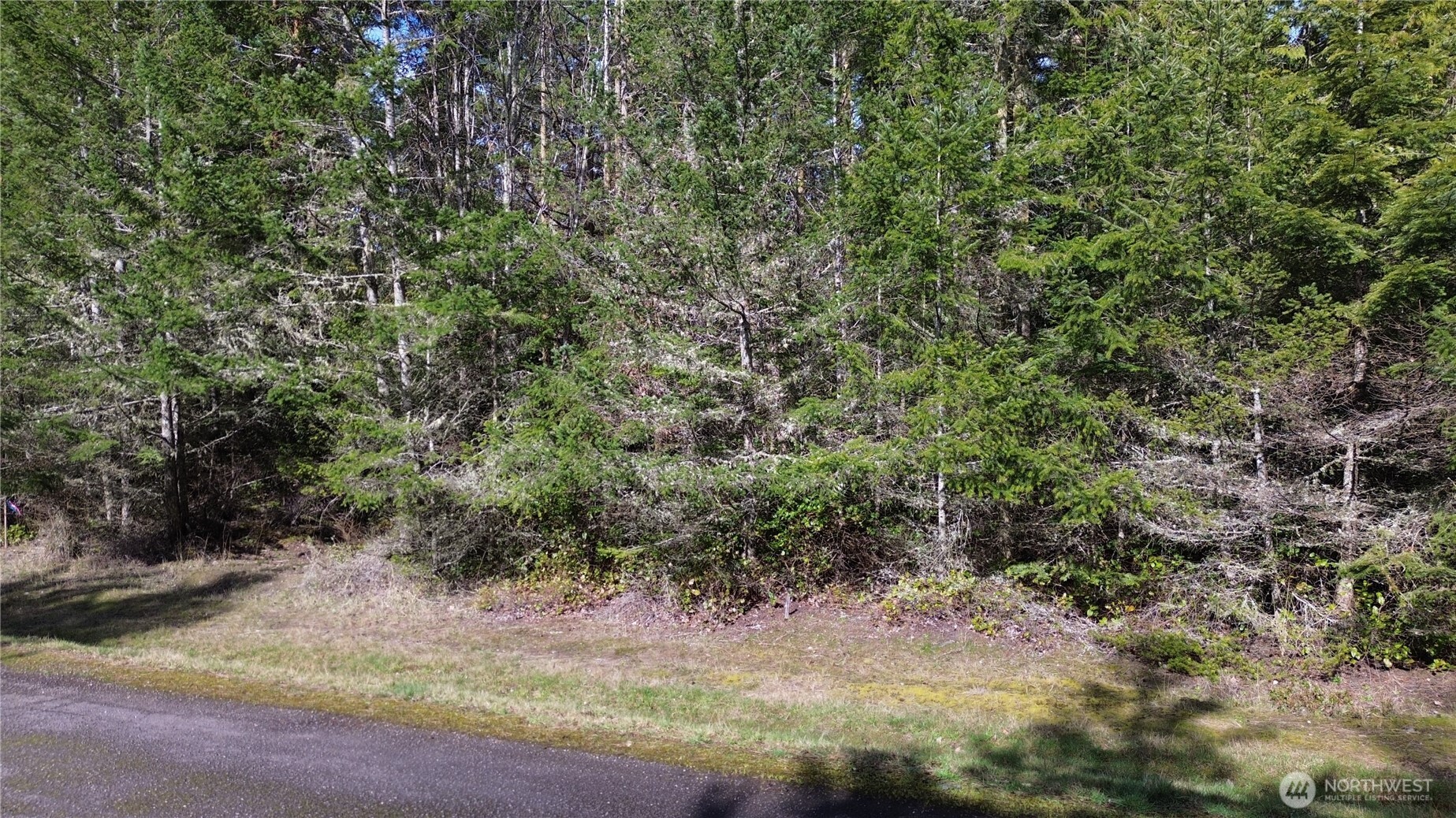 64 Doe Place Property Photo 3