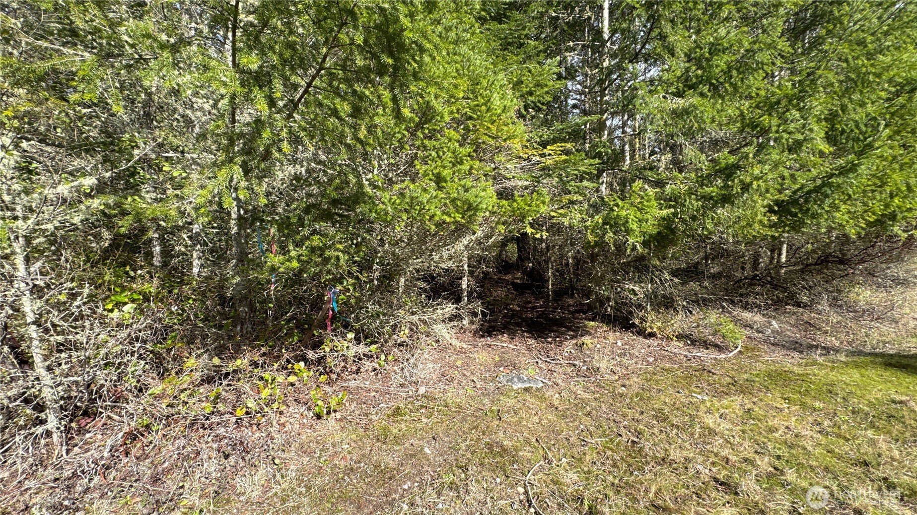 64 Doe Place Property Photo 7