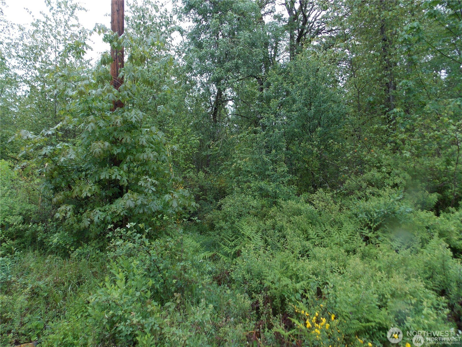 213 358th Street Property Photo