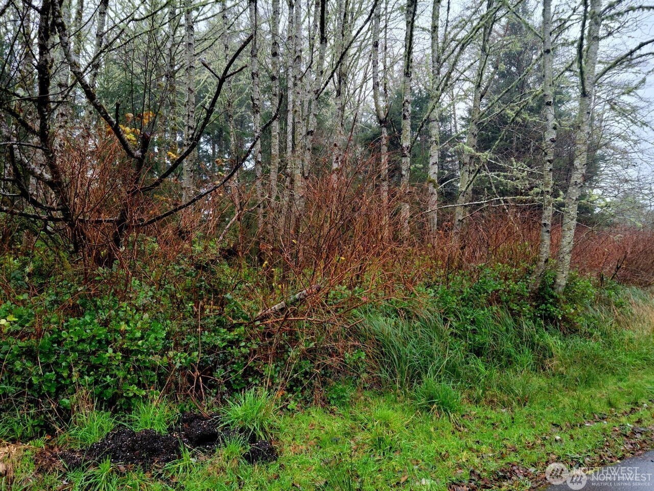821 Duck Lake Drive Property Photo 3