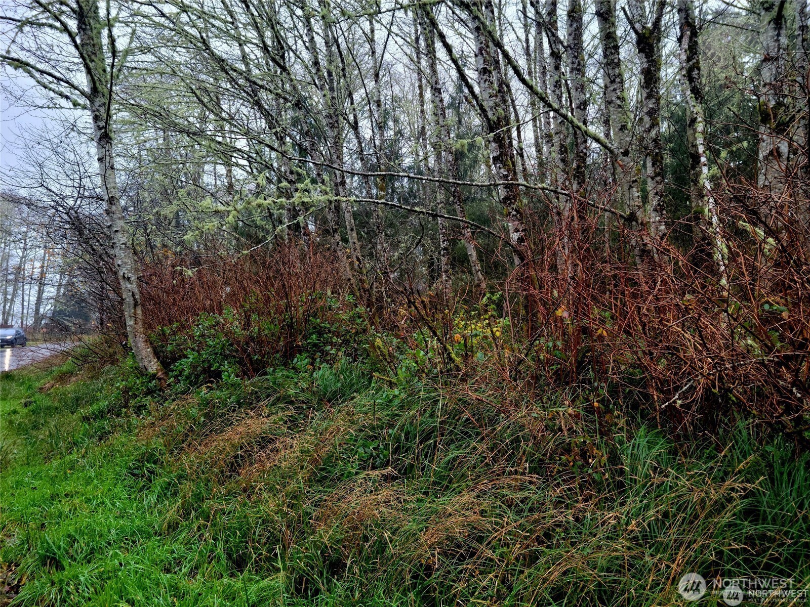 821 Duck Lake Drive Property Photo 4