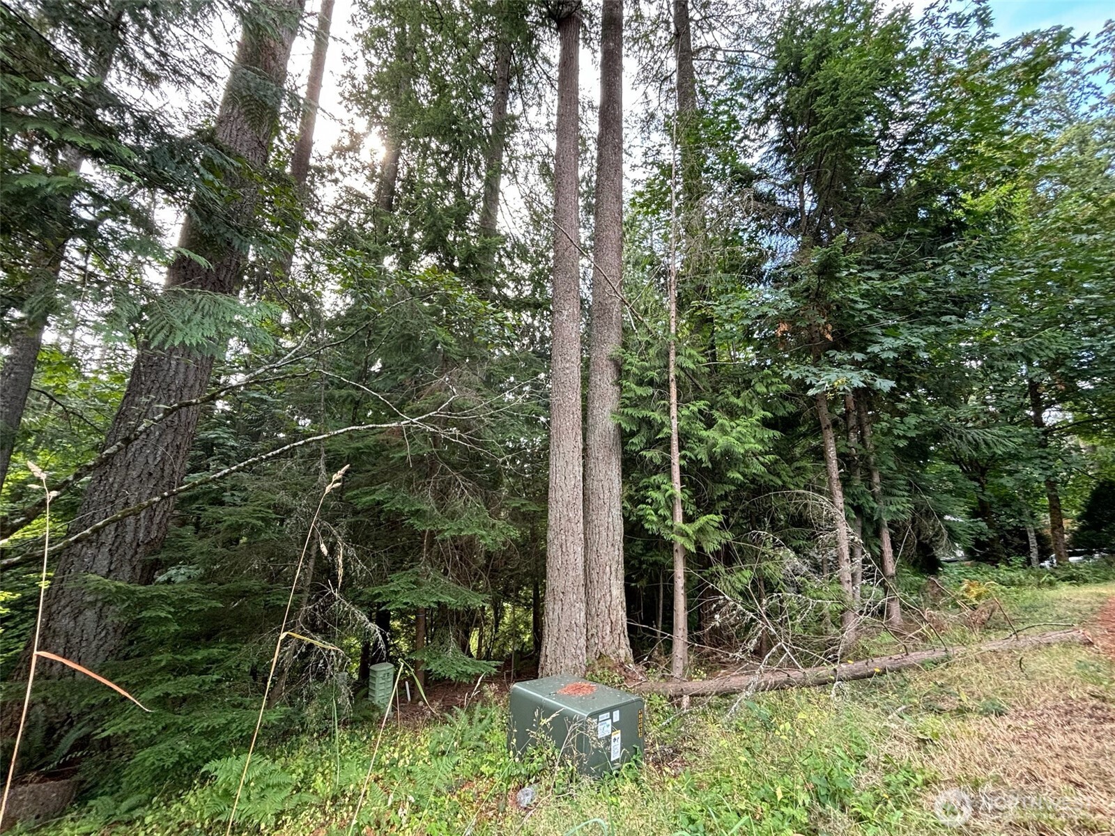 8 Morning Glory Drive Property Photo 1