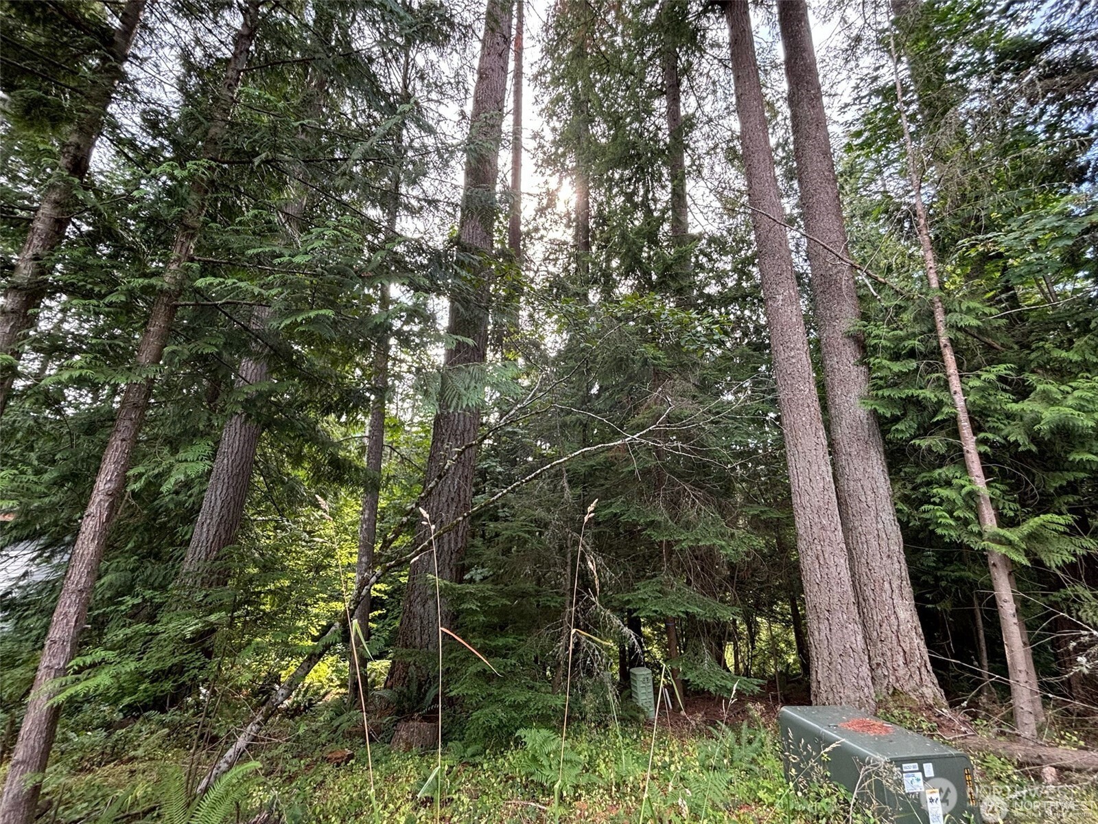 8 Morning Glory Drive Property Photo 2