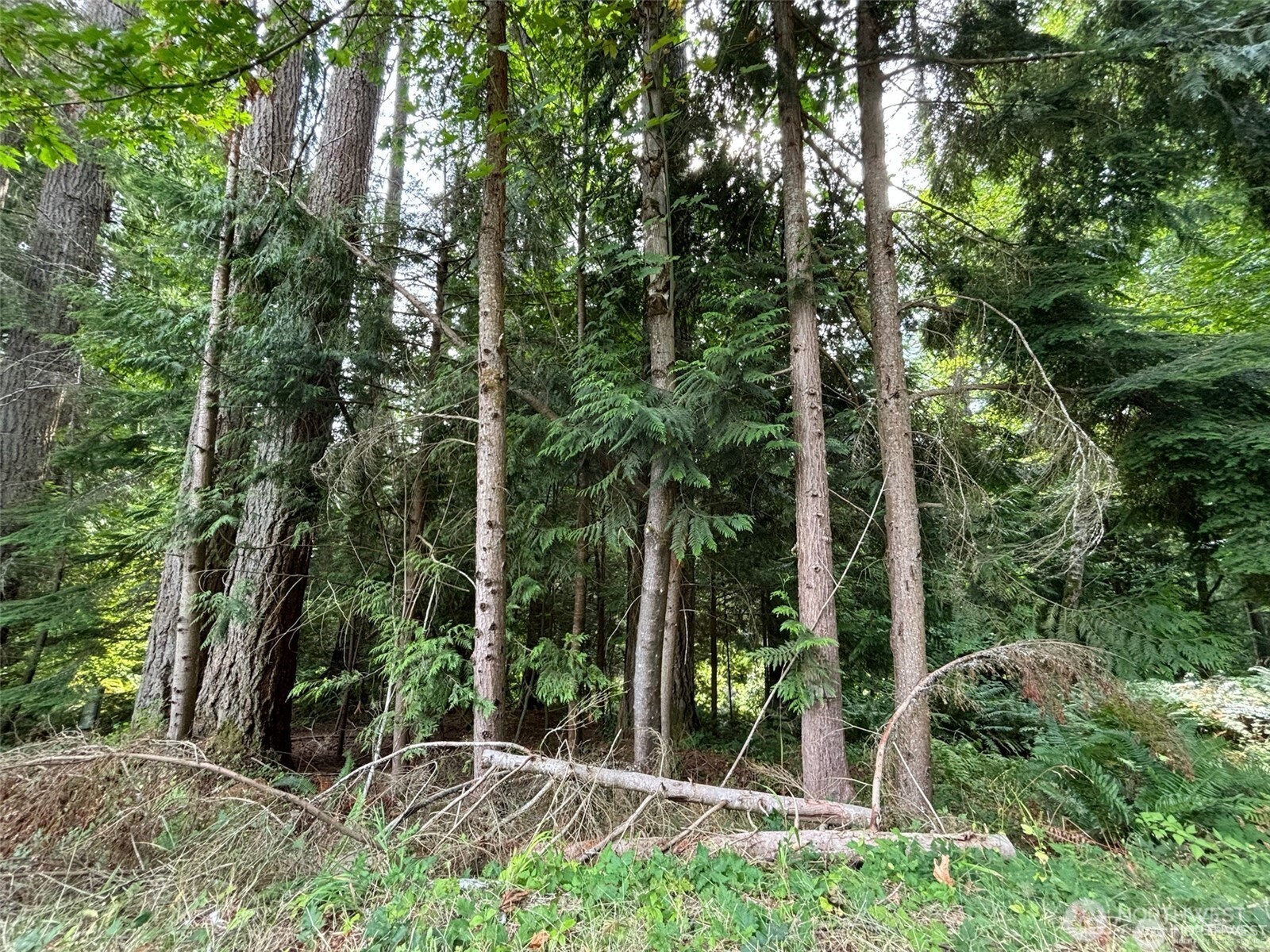 8 Morning Glory Drive Property Photo 3