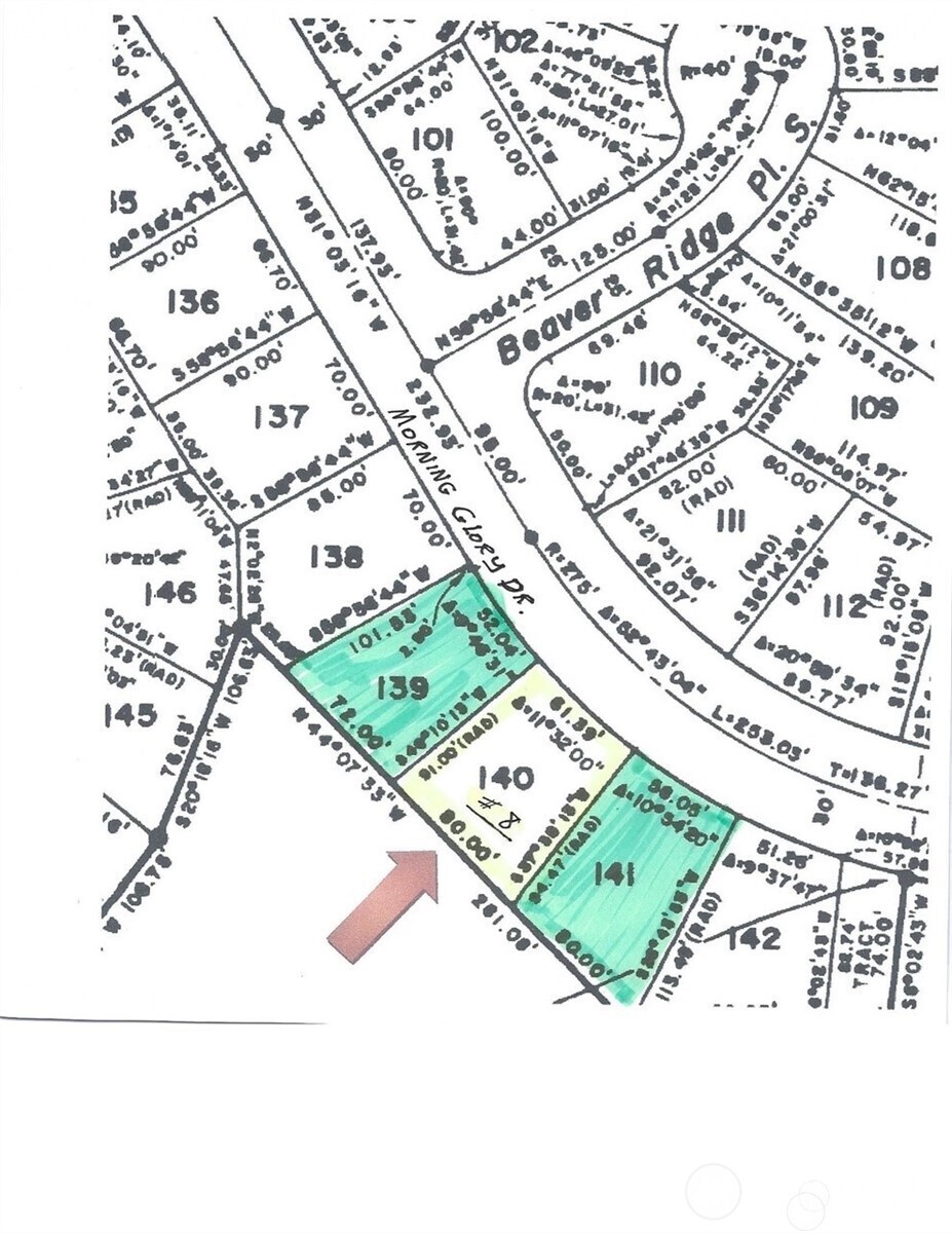 8 Morning Glory Drive Property Photo 4