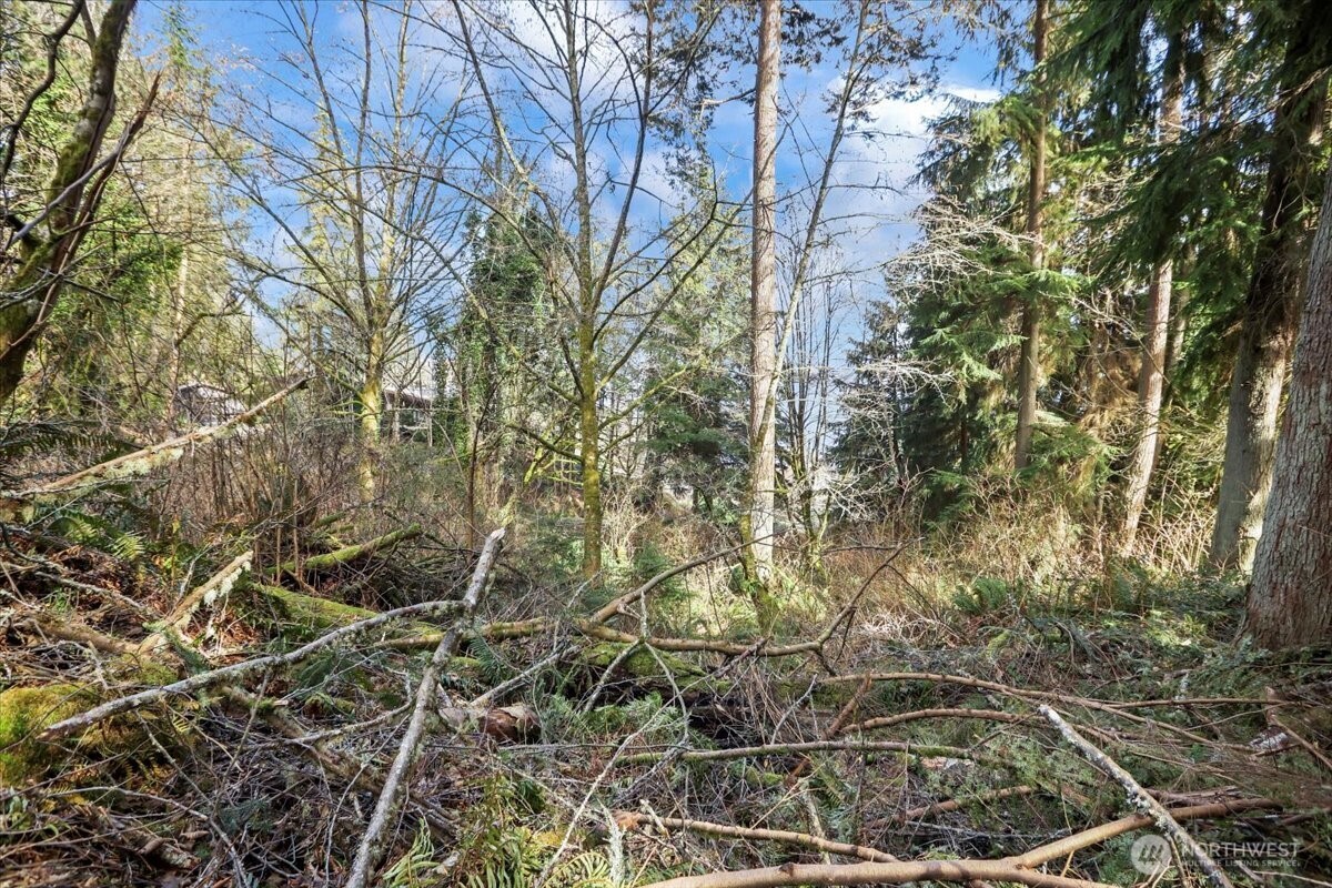 14425 Glen Acres Road Sw Road Property Photo 10