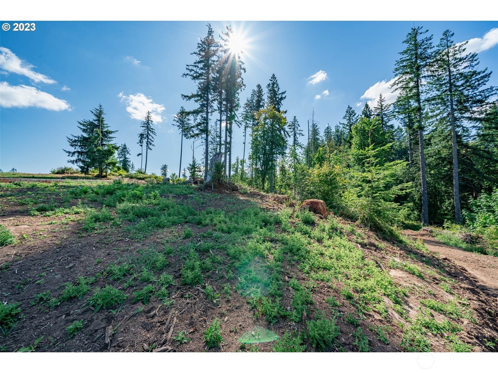 0 S Silver Lake Lot #1 Road Property Photo 5