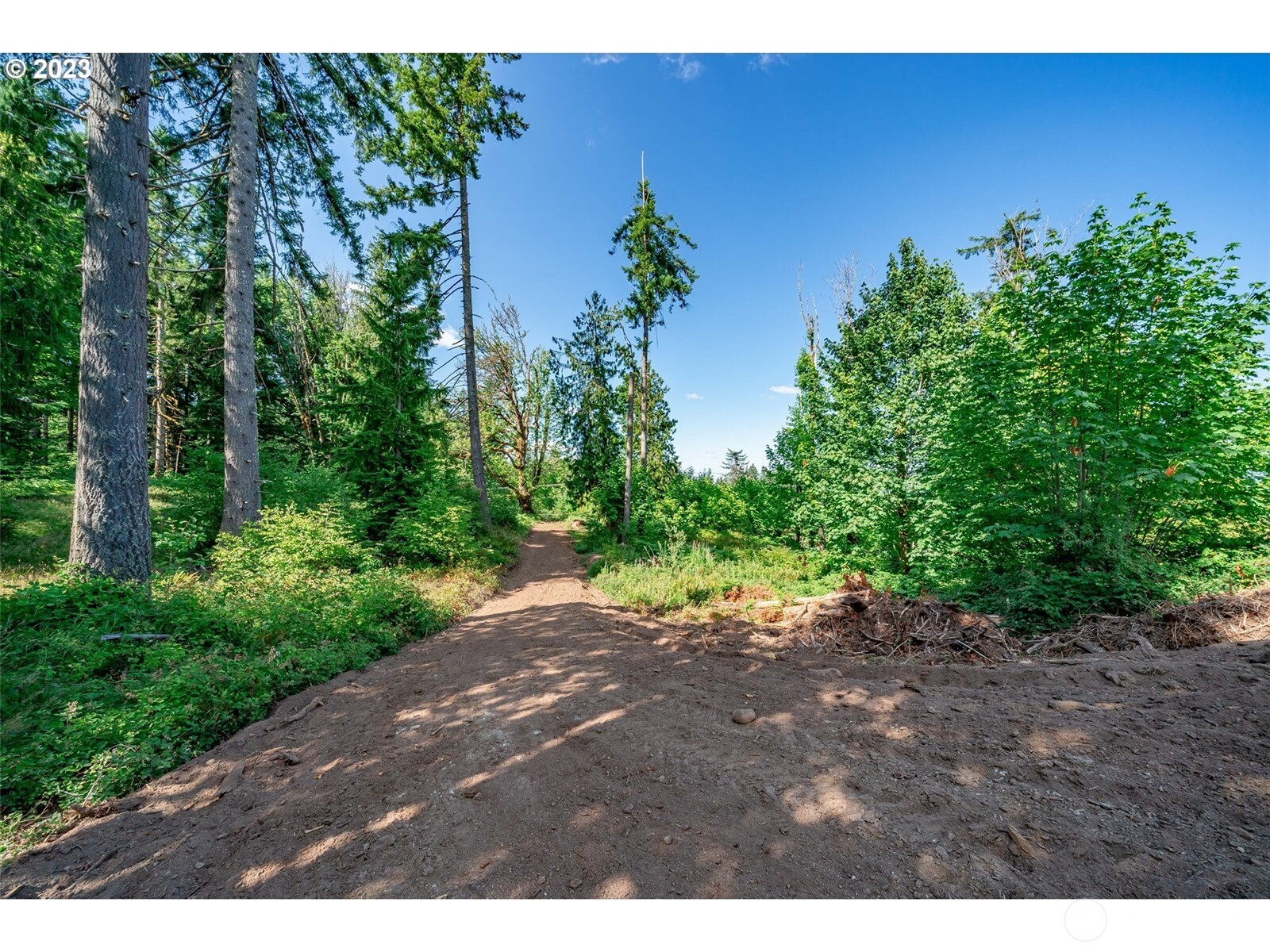 0 S Silver Lake Lot #1 Road Property Photo 6