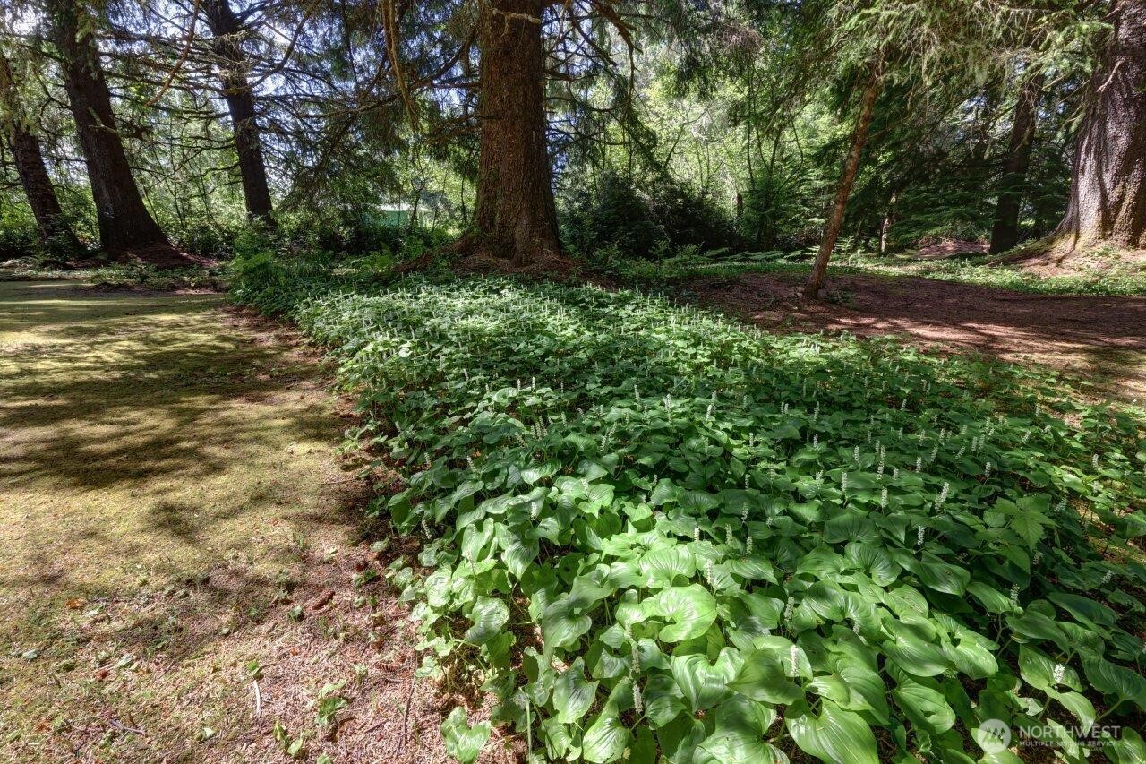 15712 Birch Street Property Photo 24