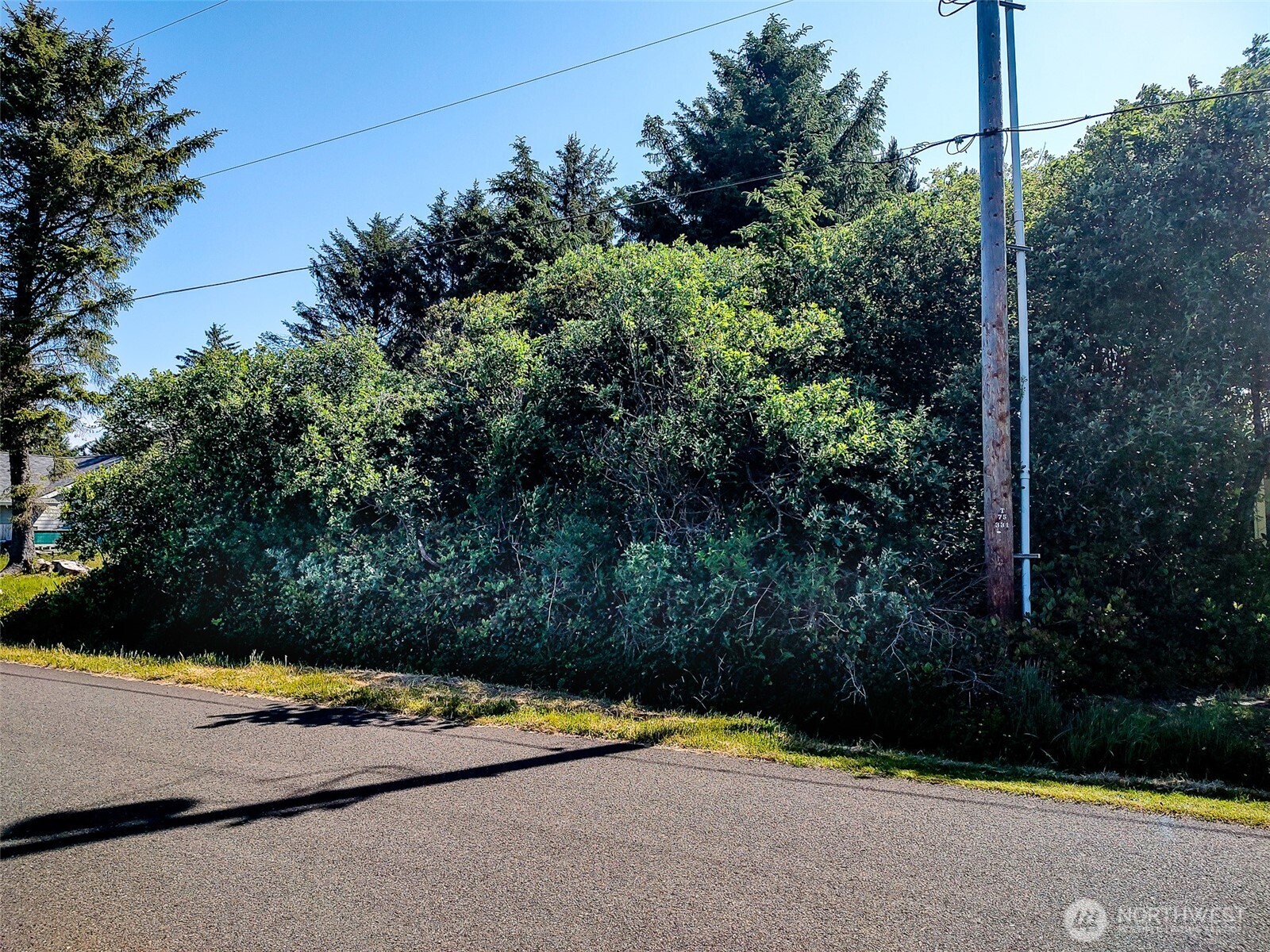 474 Volans Avenue Property Photo 2
