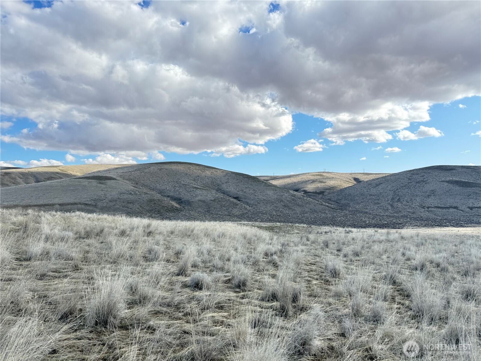 0 Baird Springs Road Property Photo 8