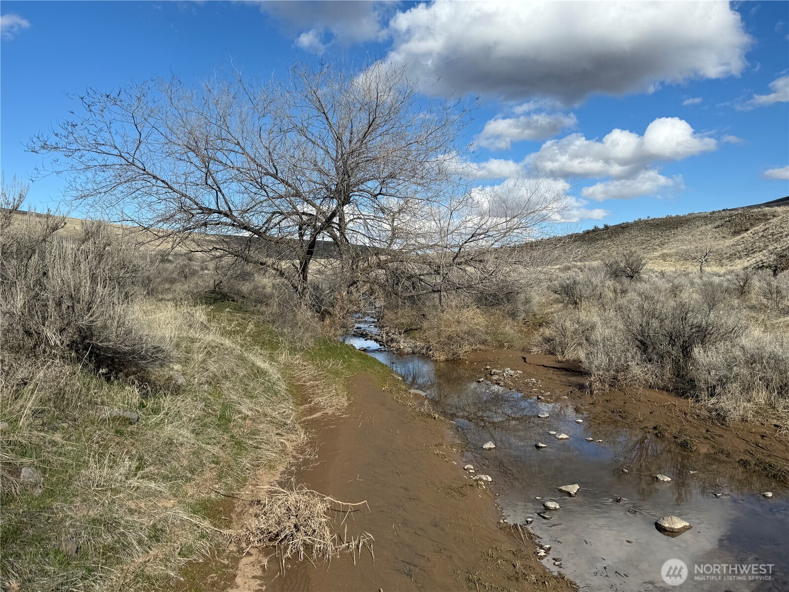 0 Baird Springs Road Property Photo