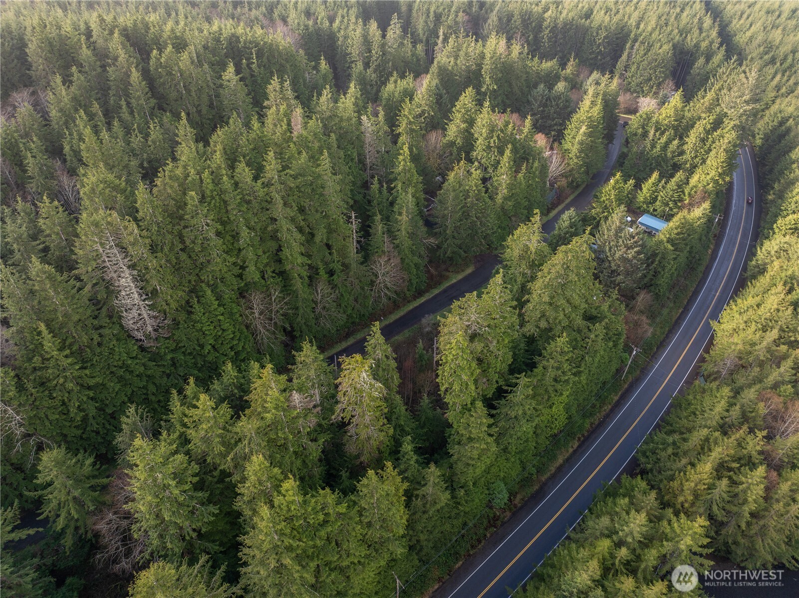 0 Tr 15 Salal Drive Property Photo 10