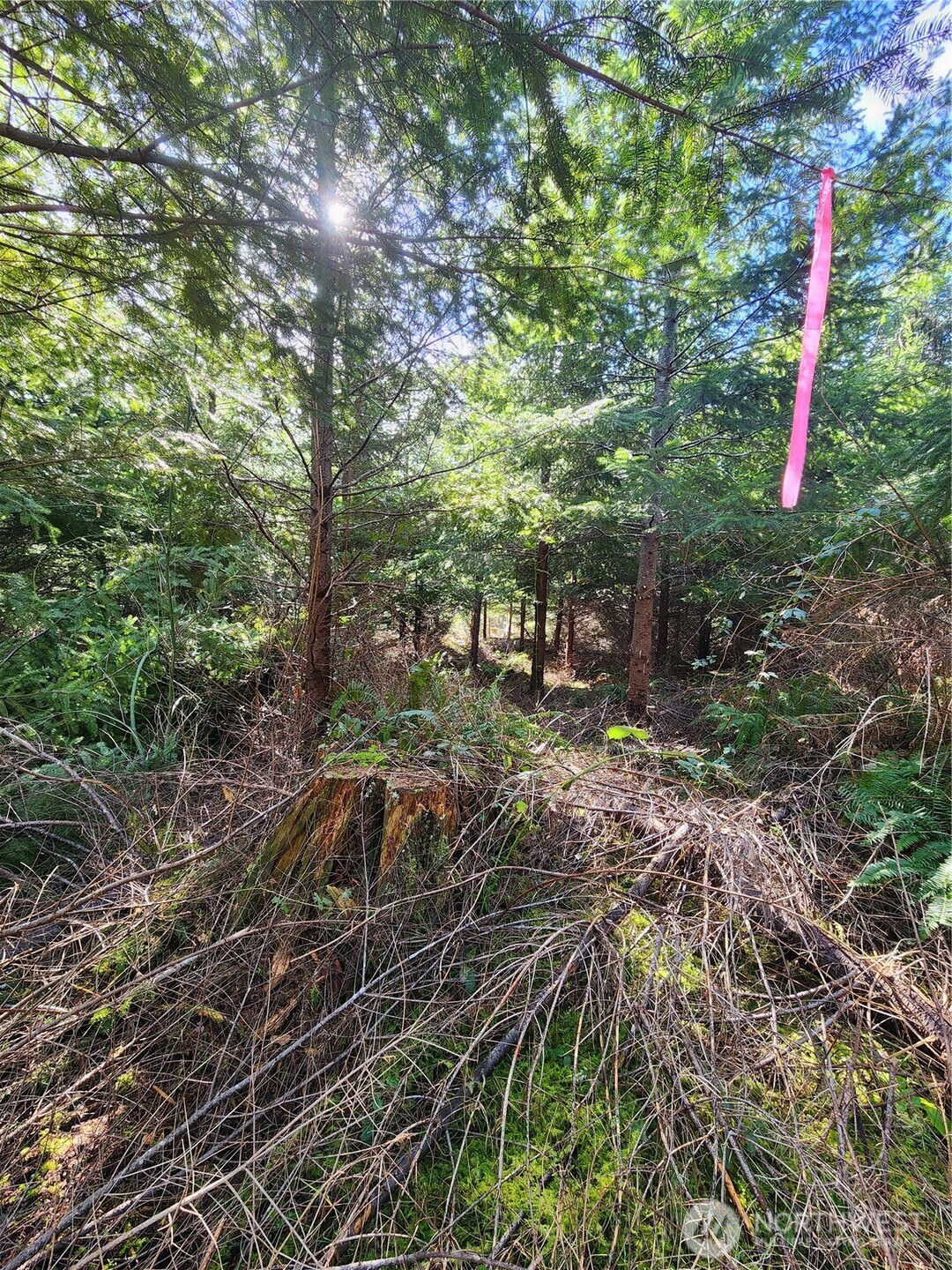 27 Foreman Road Property Photo 5