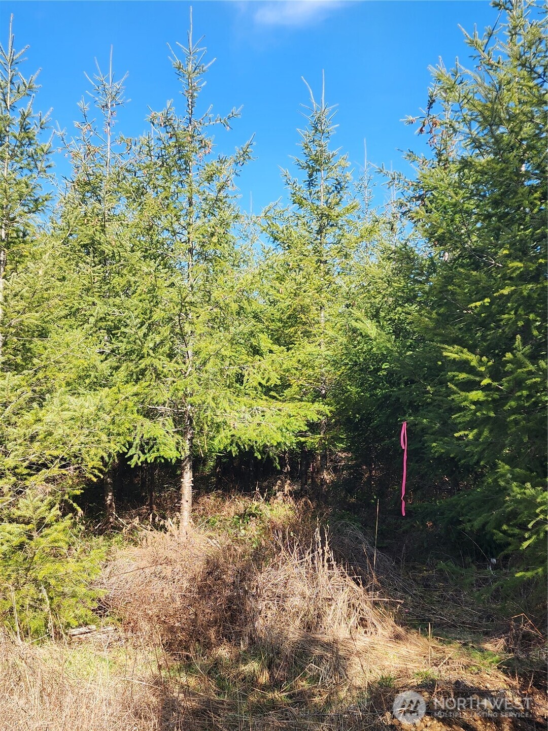 27 Foreman Road Property Photo 6