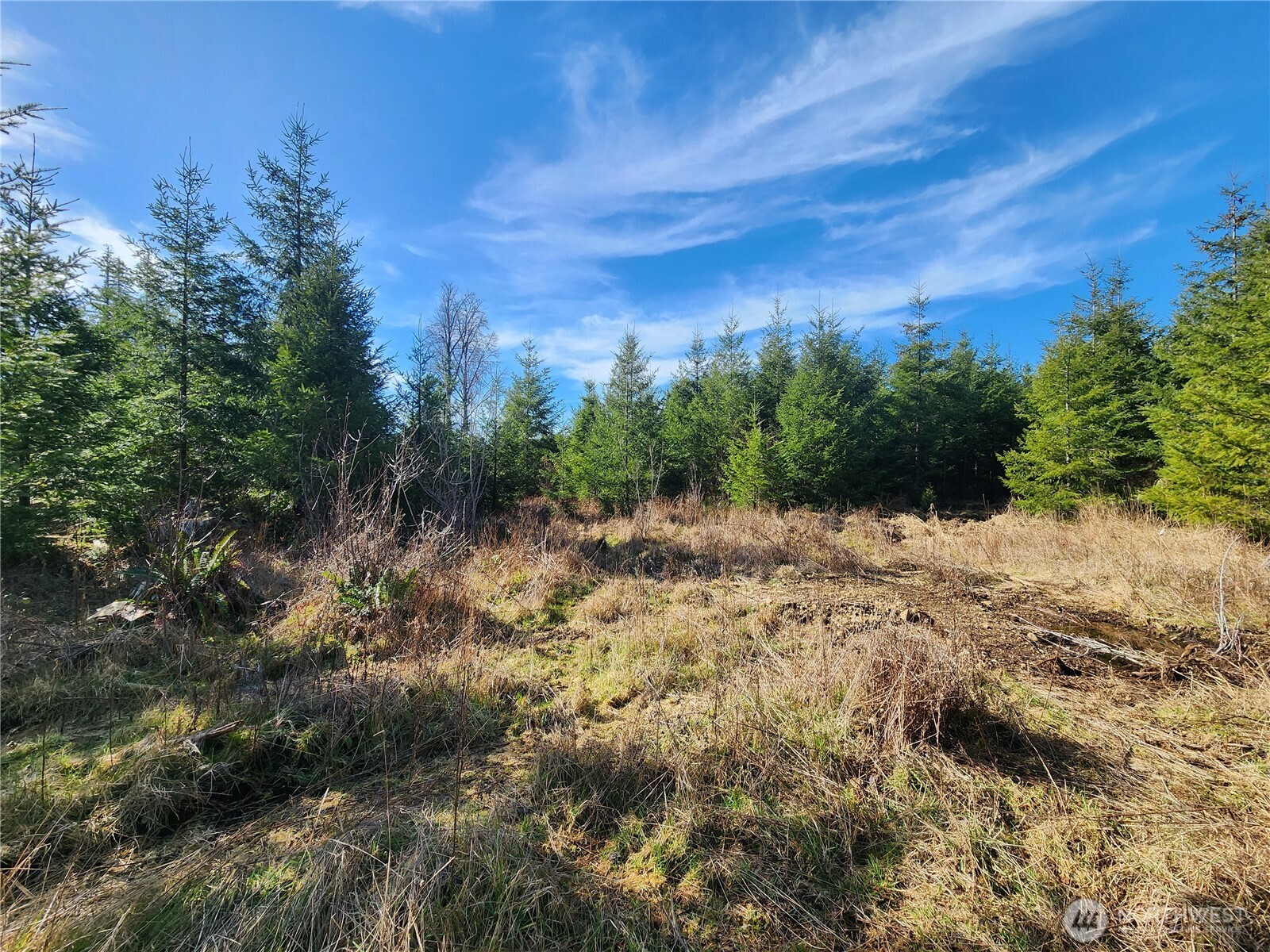 27 Foreman Road Property Photo 8