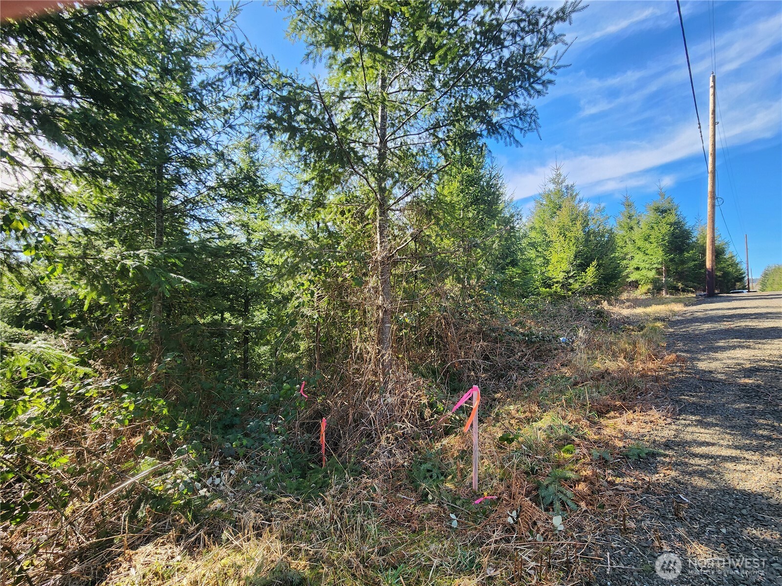 27 Foreman Road Property Photo 11