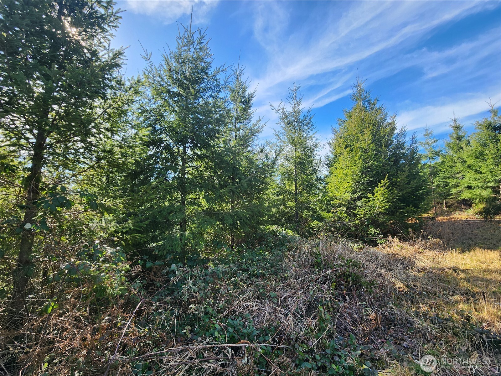 27 Foreman Road Property Photo 12