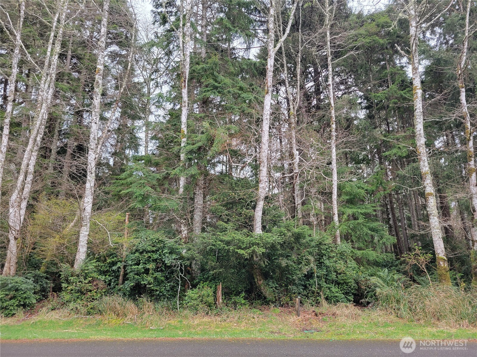 337 Hyde Court Property Photo 6