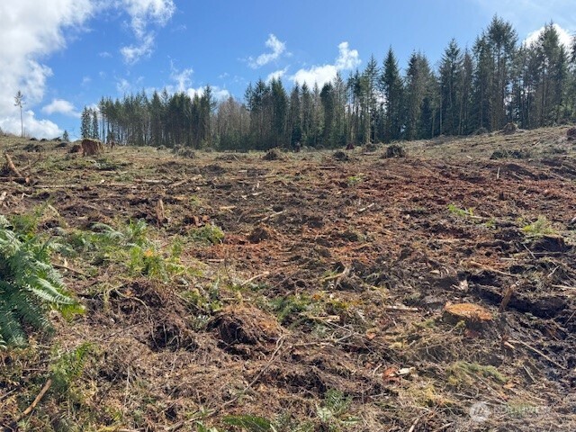 0 Lot 1 August Road Property Photo