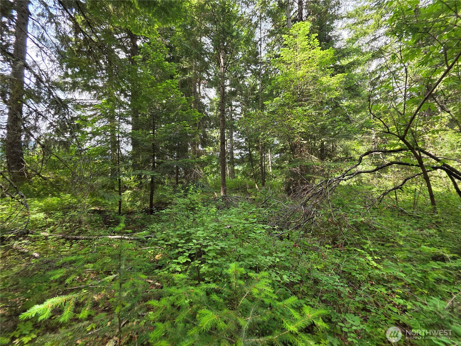 0 Nvlot 5 Nelson View Way Property Photo 15