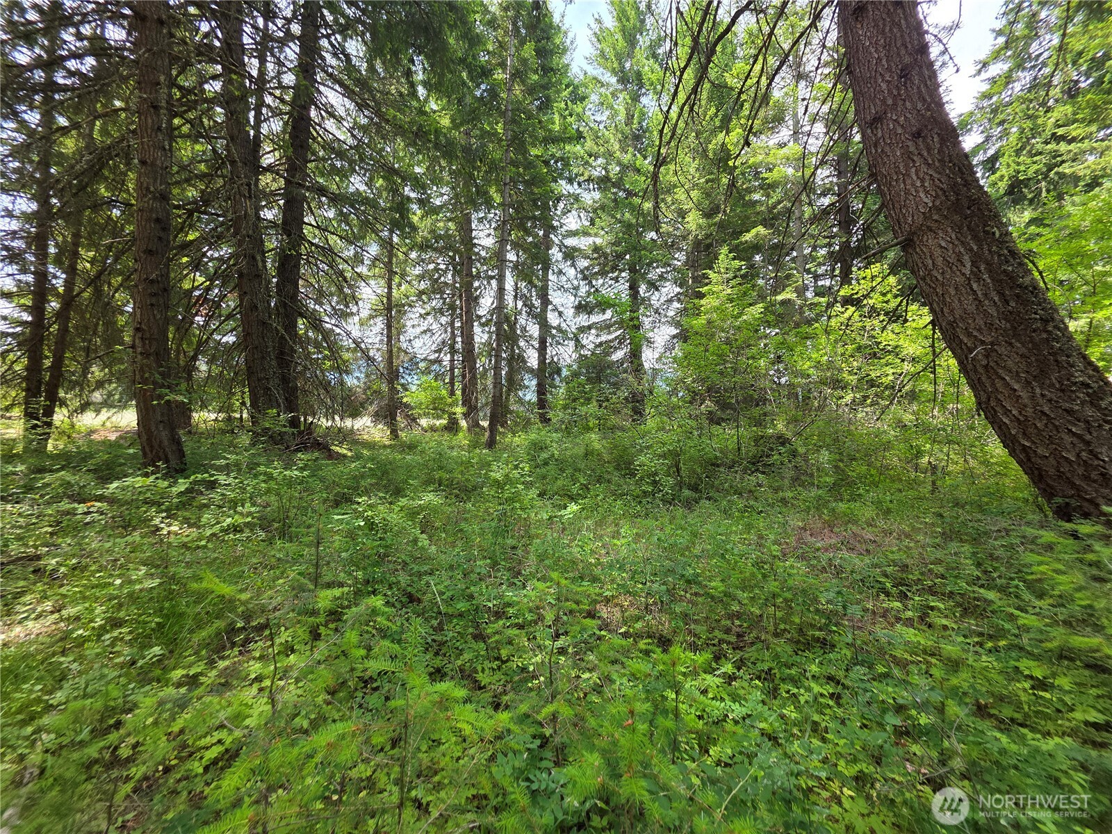 0 Nvlot 5 Nelson View Way Property Photo 16