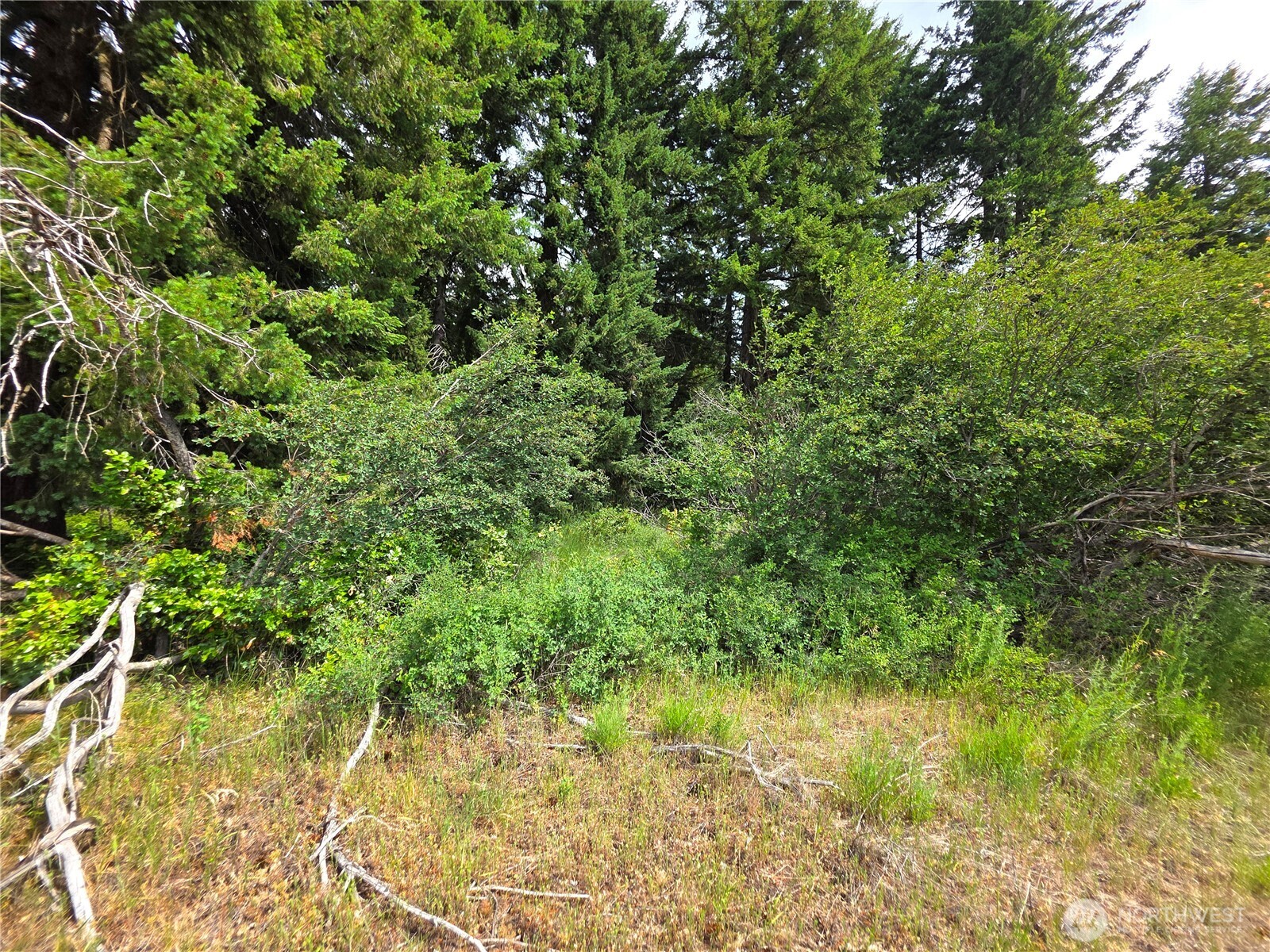 0 Nvlot 5 Nelson View Way Property Photo 31