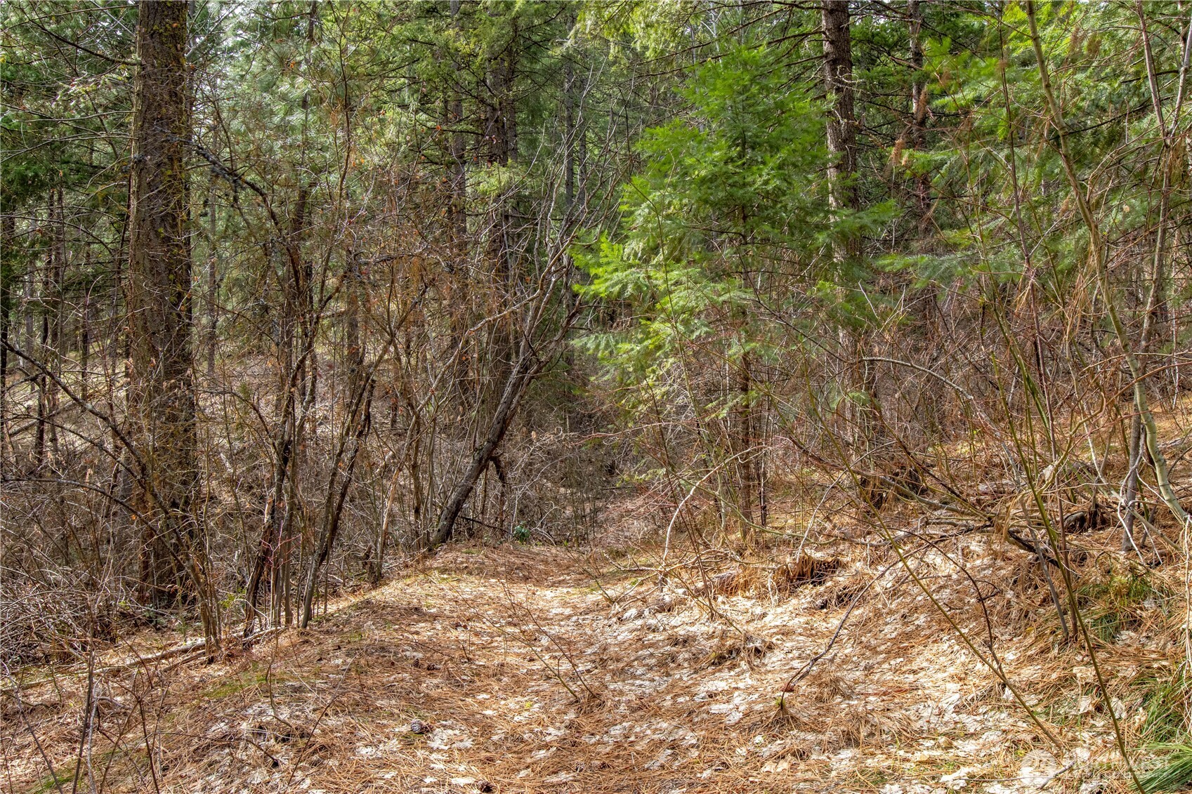 1 Chumstick Hwy Property Photo