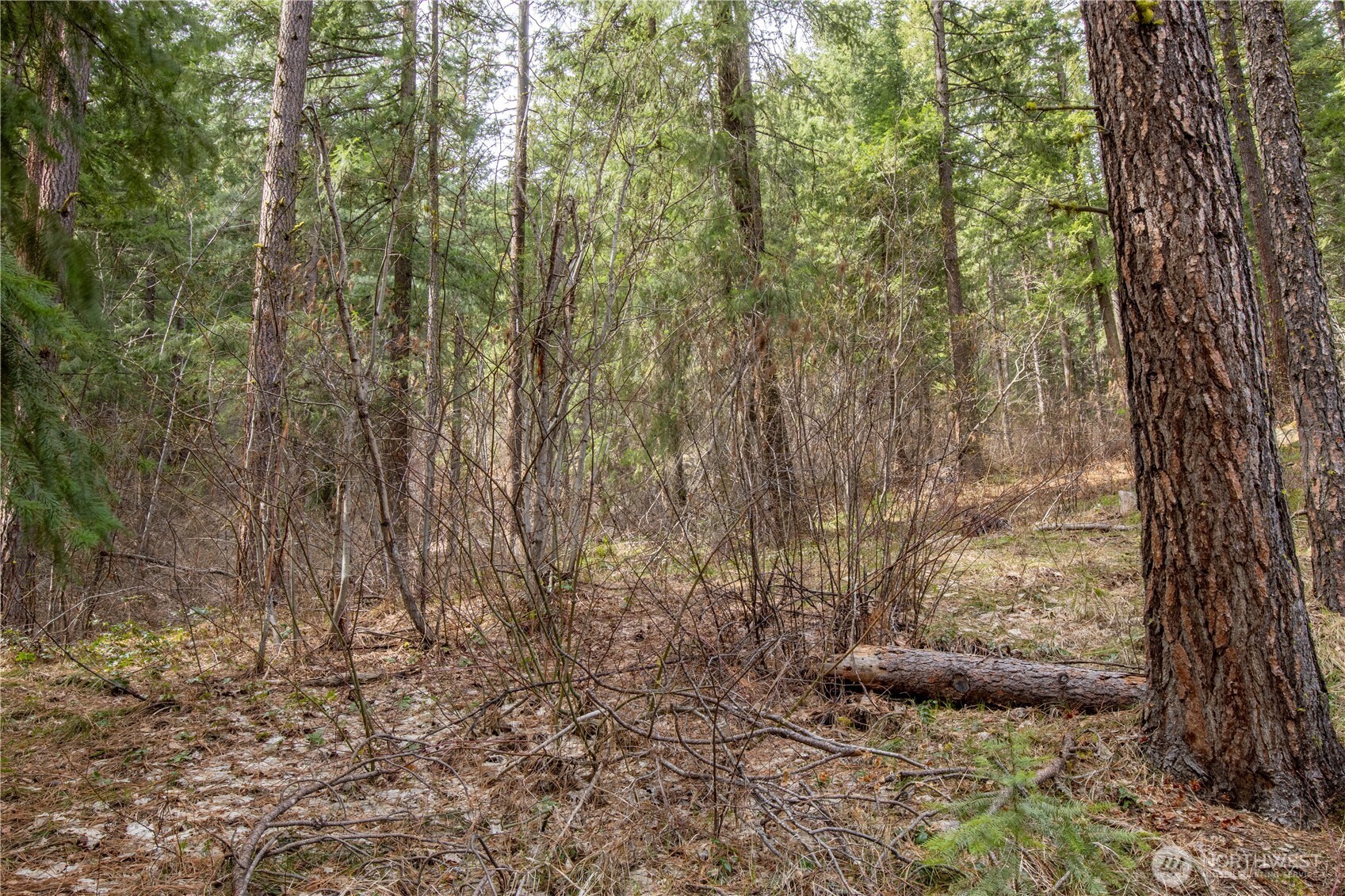 1 Chumstick Hwy Property Photo 9