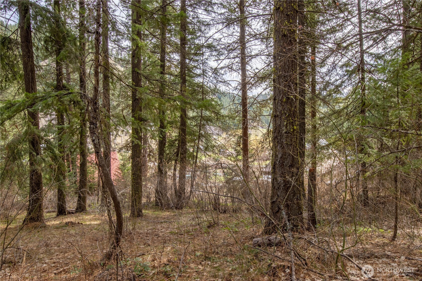 1 Chumstick Hwy Property Photo 12