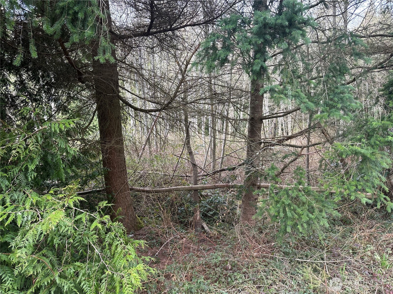 0 Lot 11 Harbor Sands Lane Property Photo
