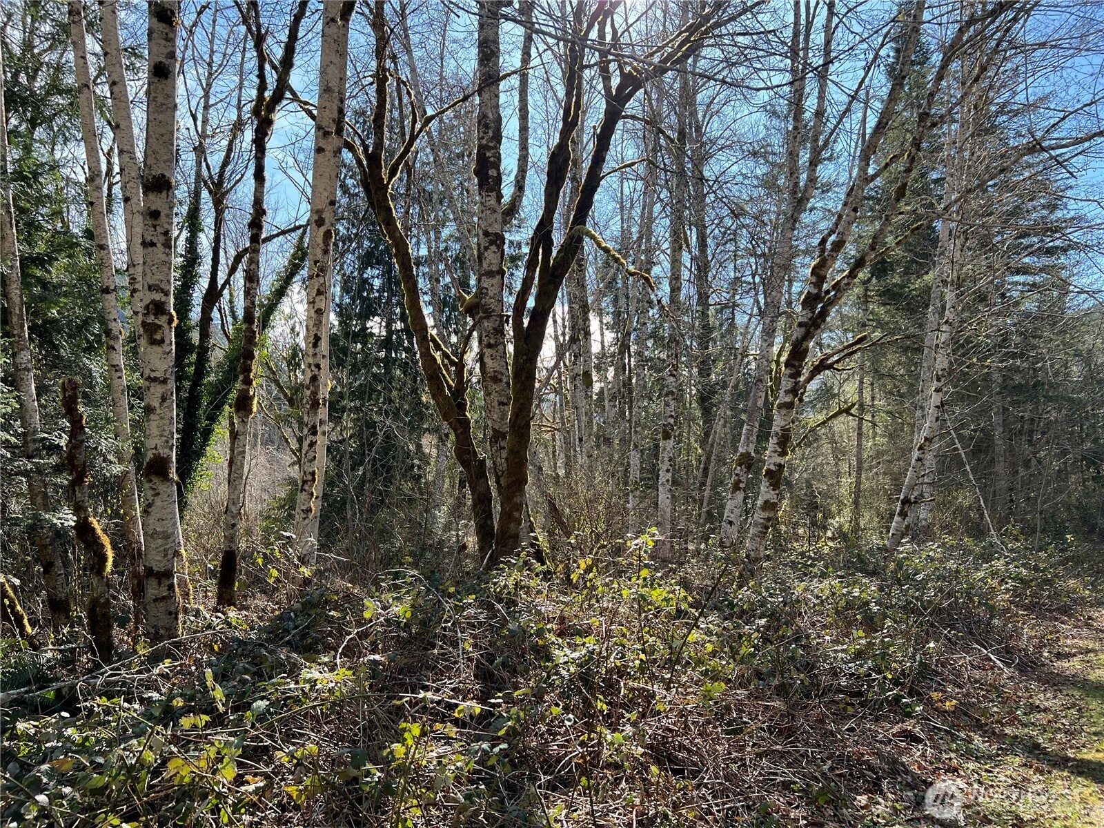 1 Xx Fish Hatchery Road Property Photo 9