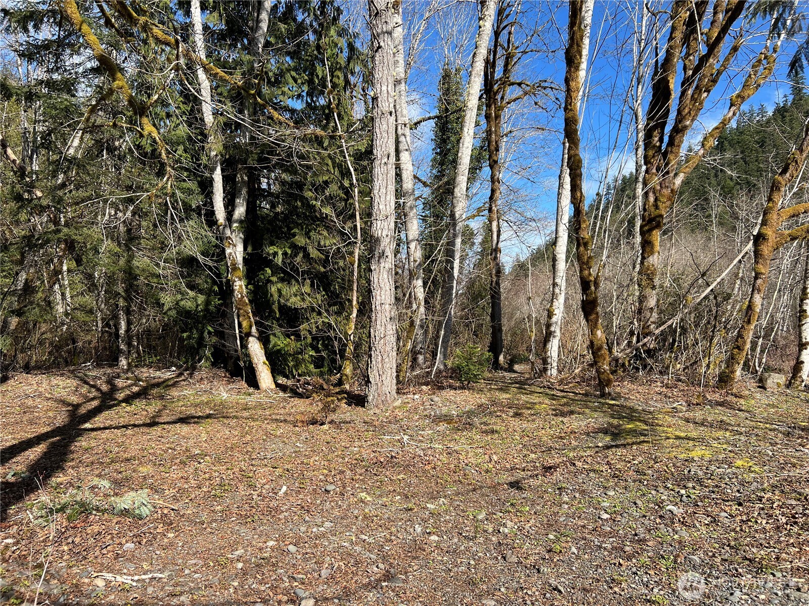 1 Xx Fish Hatchery Road Property Photo 11