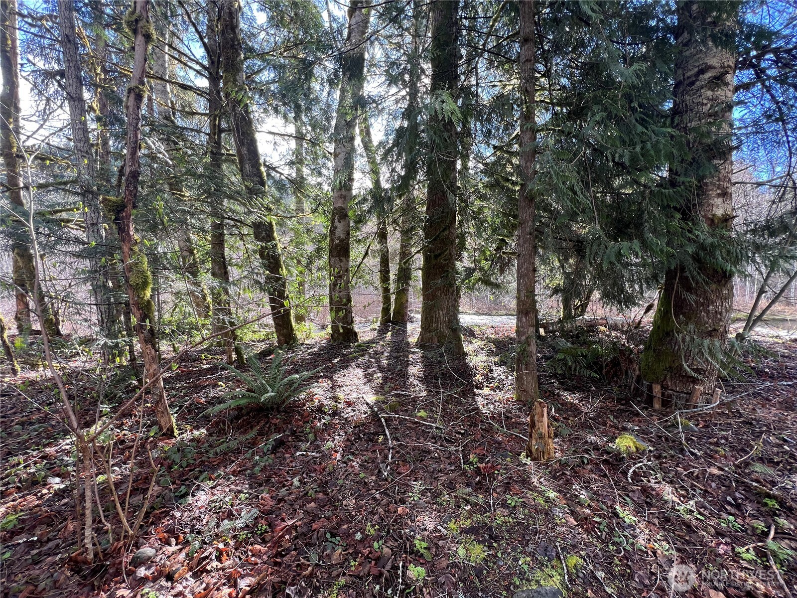 1 Xx Fish Hatchery Road Property Photo 17
