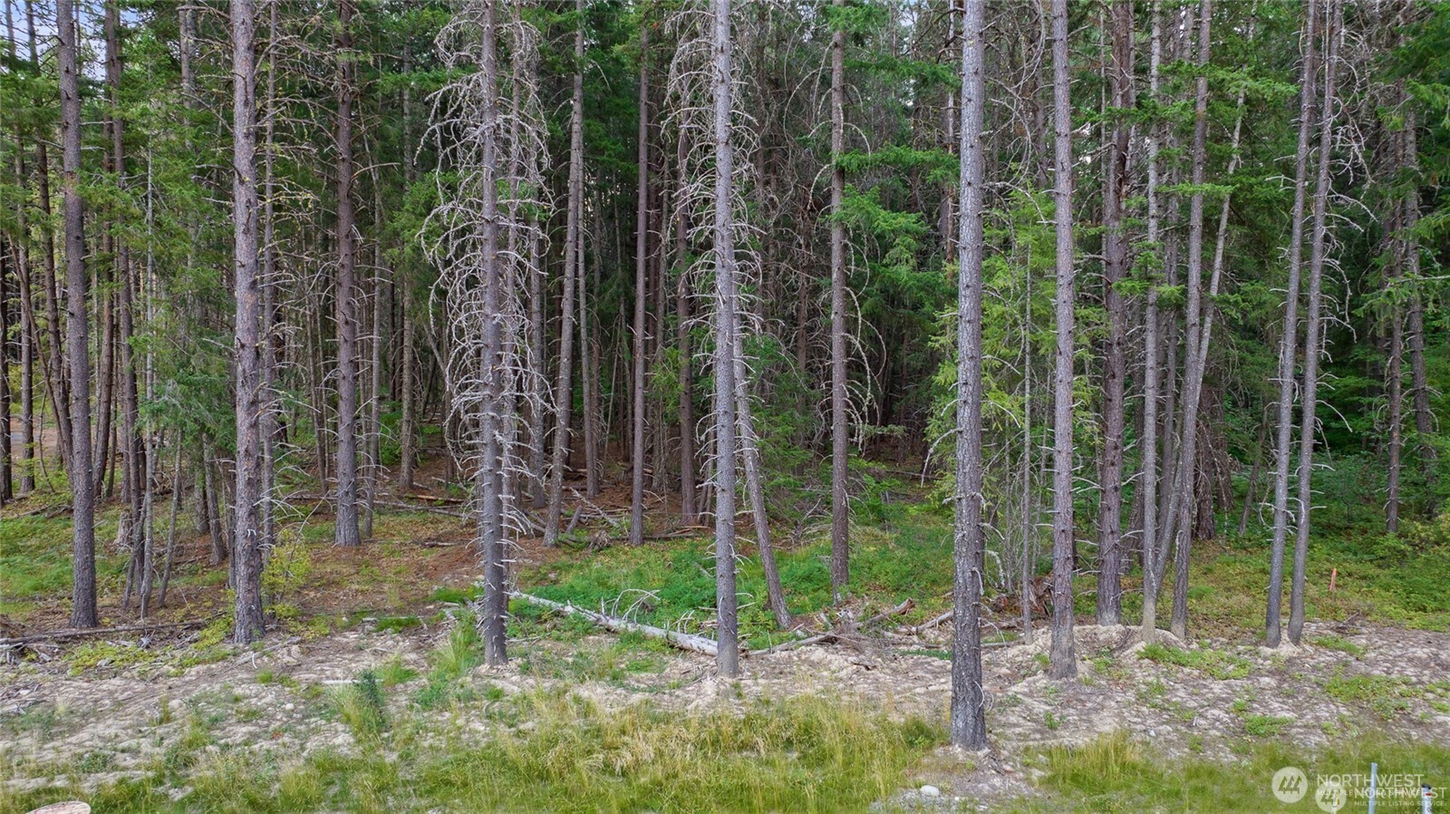 5 Tumble Creek Drive Property Photo 7