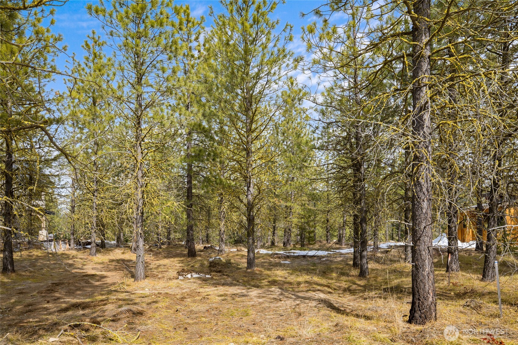 541 Gold Leaf Lane Property Photo 8